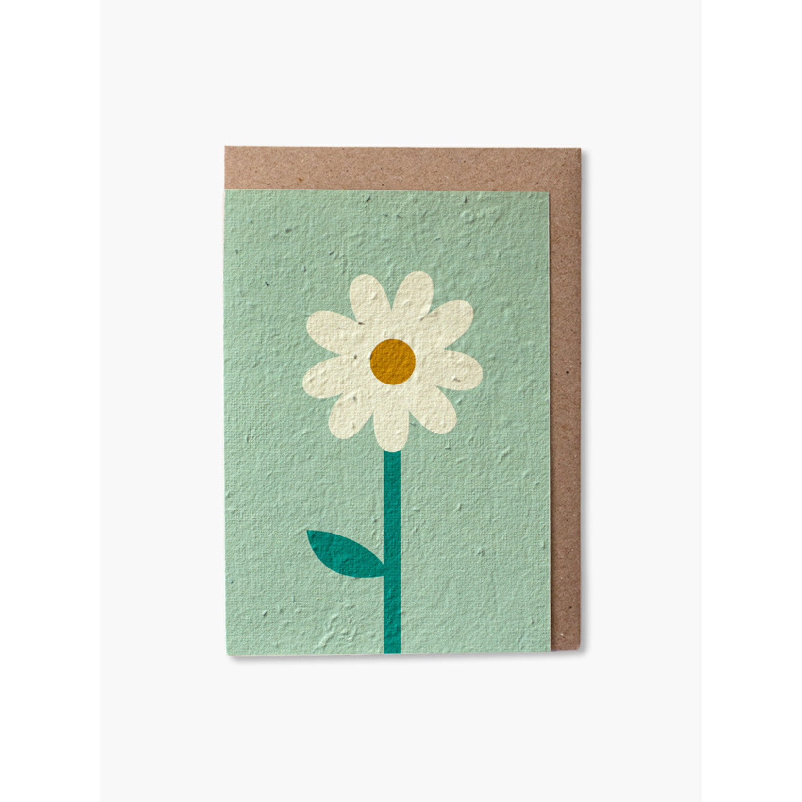 Paper & Bloom Paper & Bloom Plantable Cards Daisy