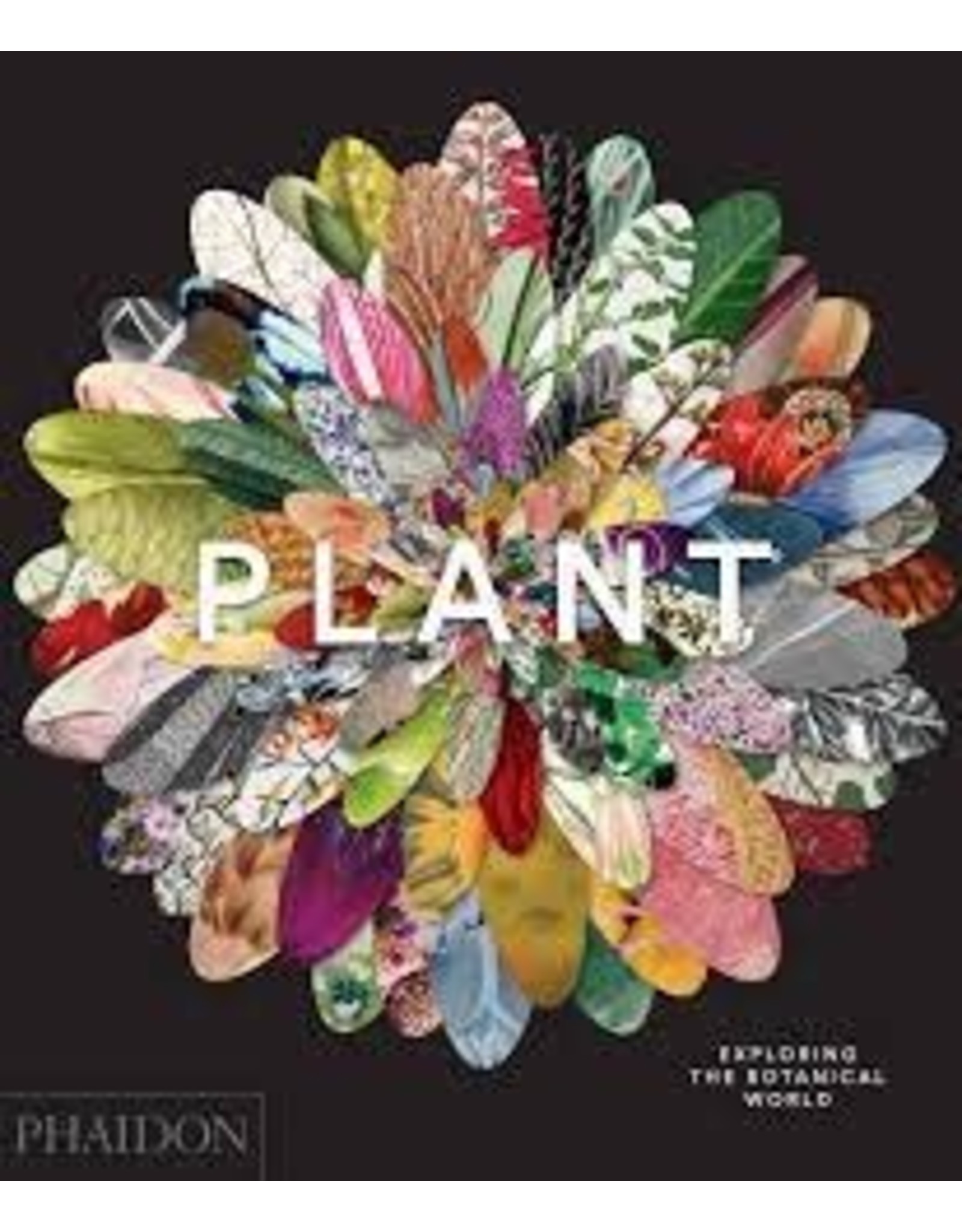 Hachette Book Group Plant: Exploring the Botanical World