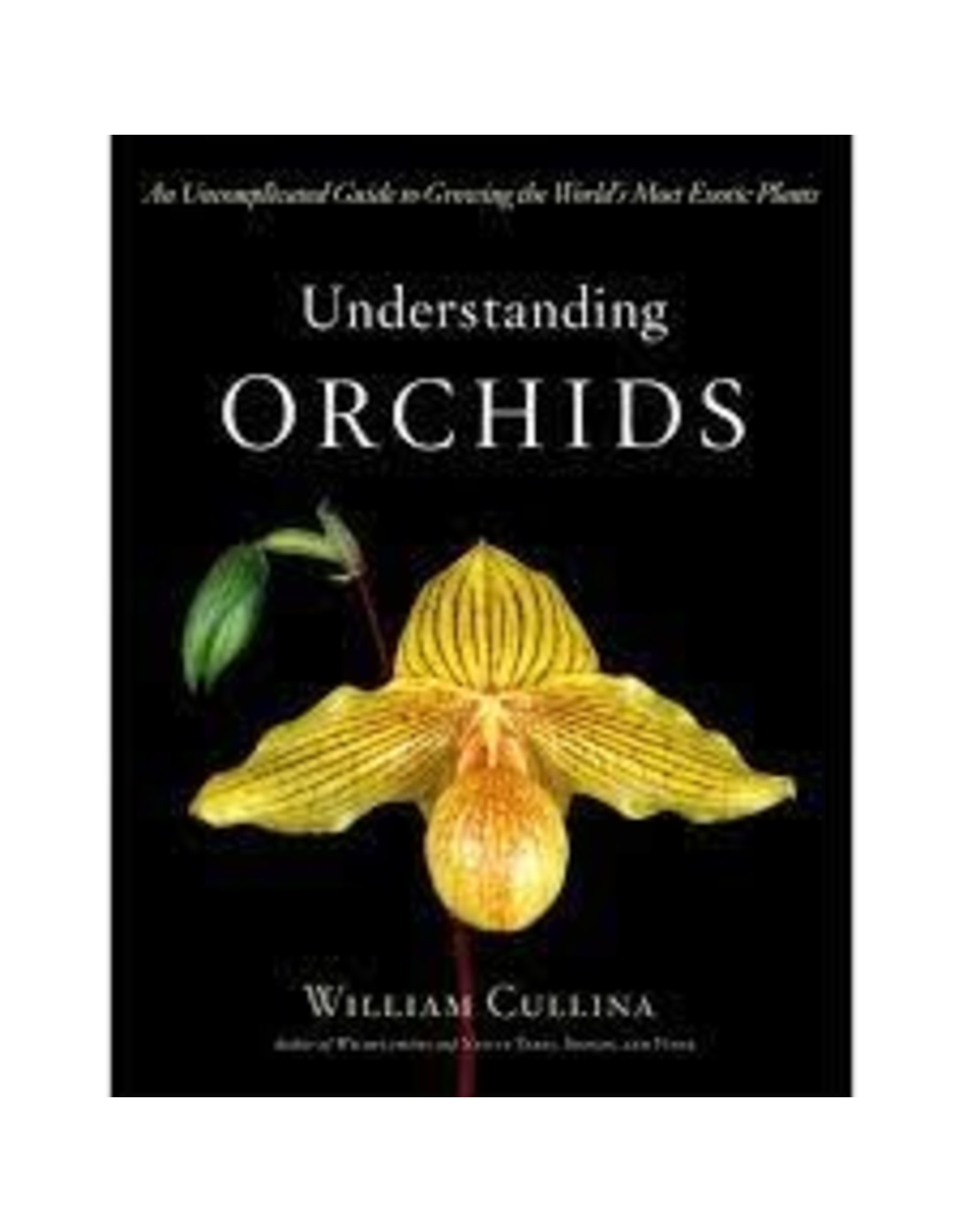 Understanding Orchids