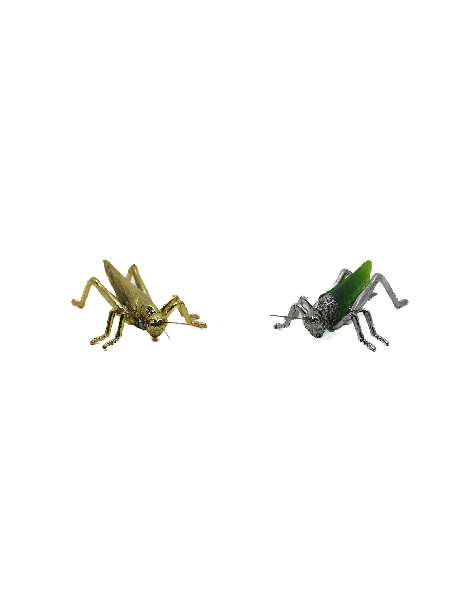 Zodax Grasshopper