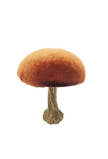 Velvet Mushroom