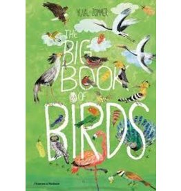 The Big Book of Birds