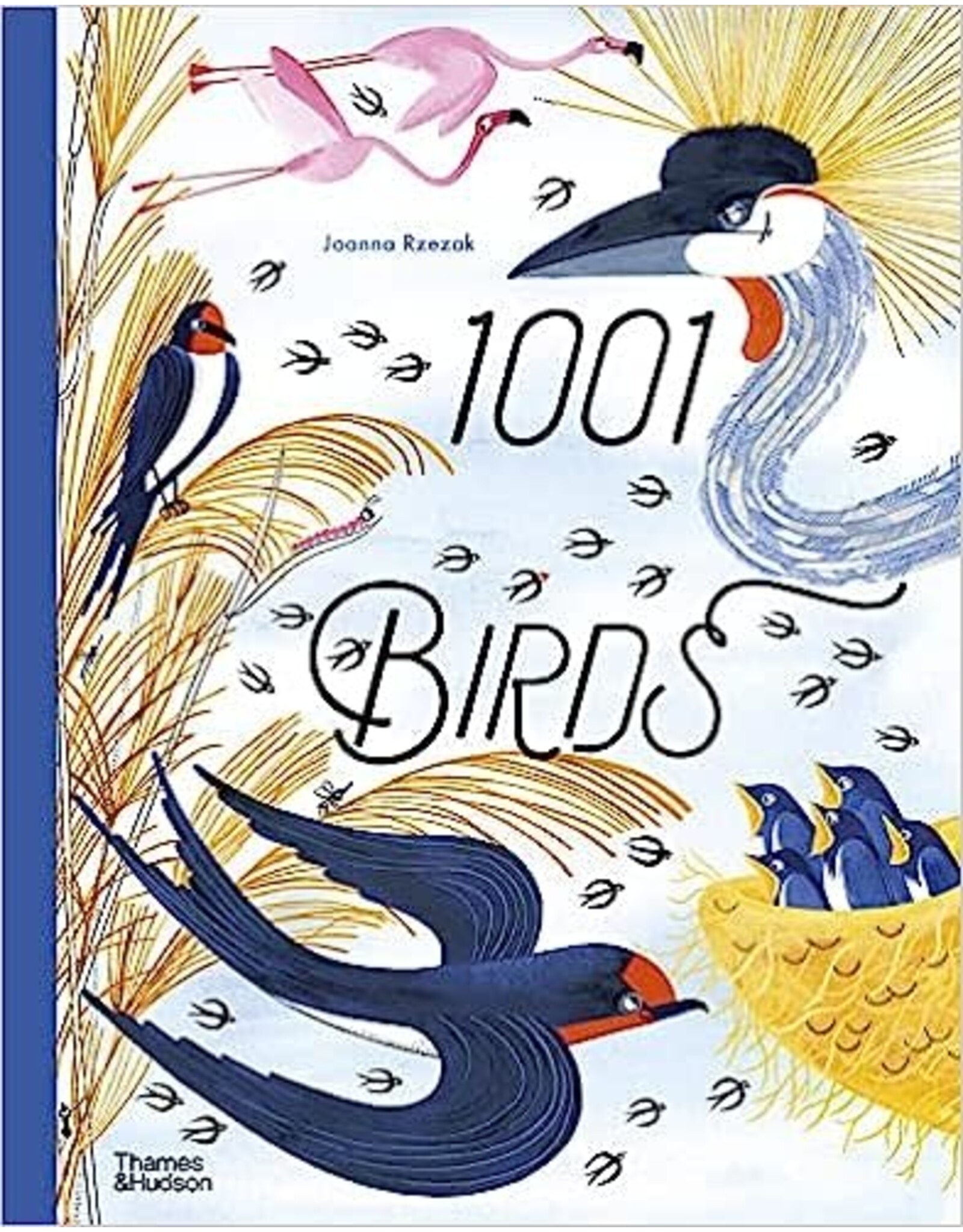 1001 Birds