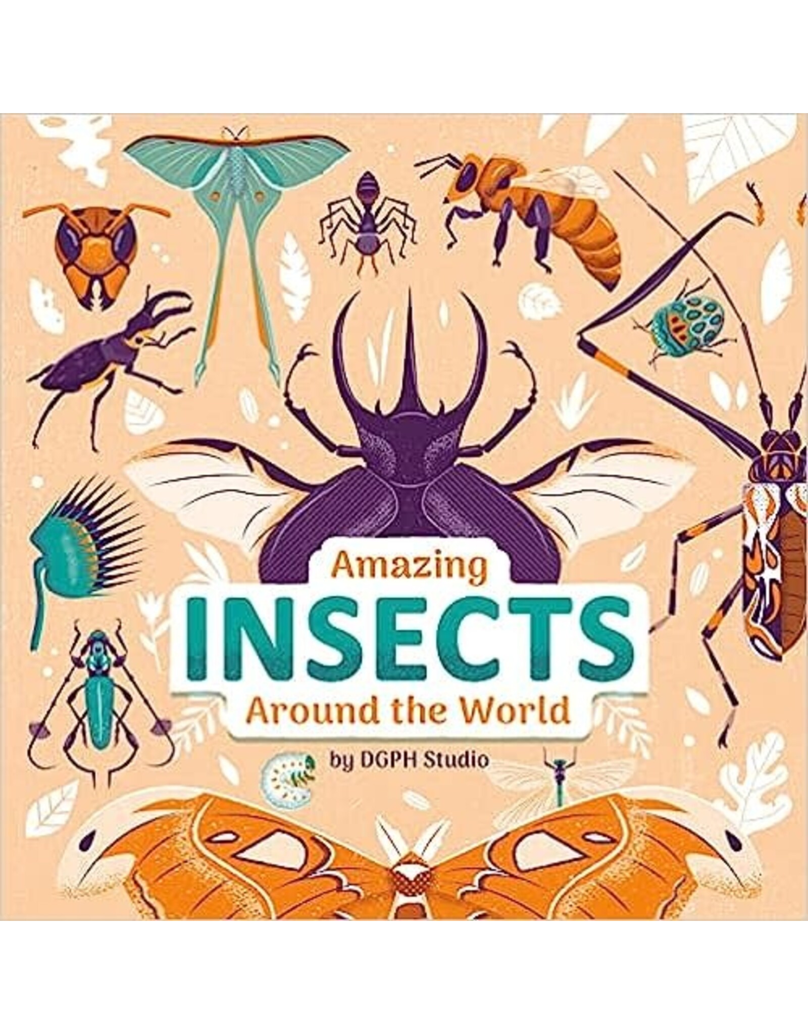 Amazing Insects Around the World