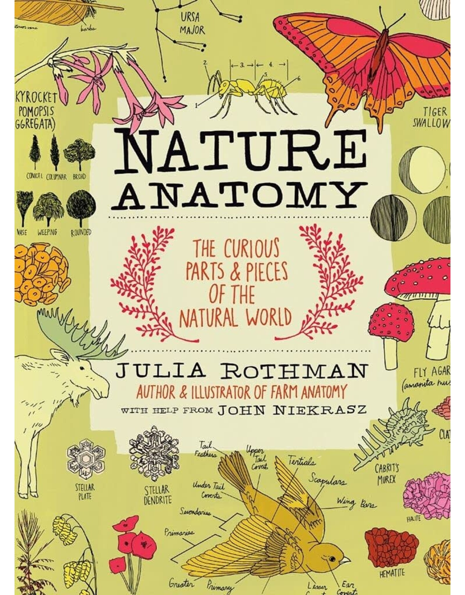 Nature Anatomy