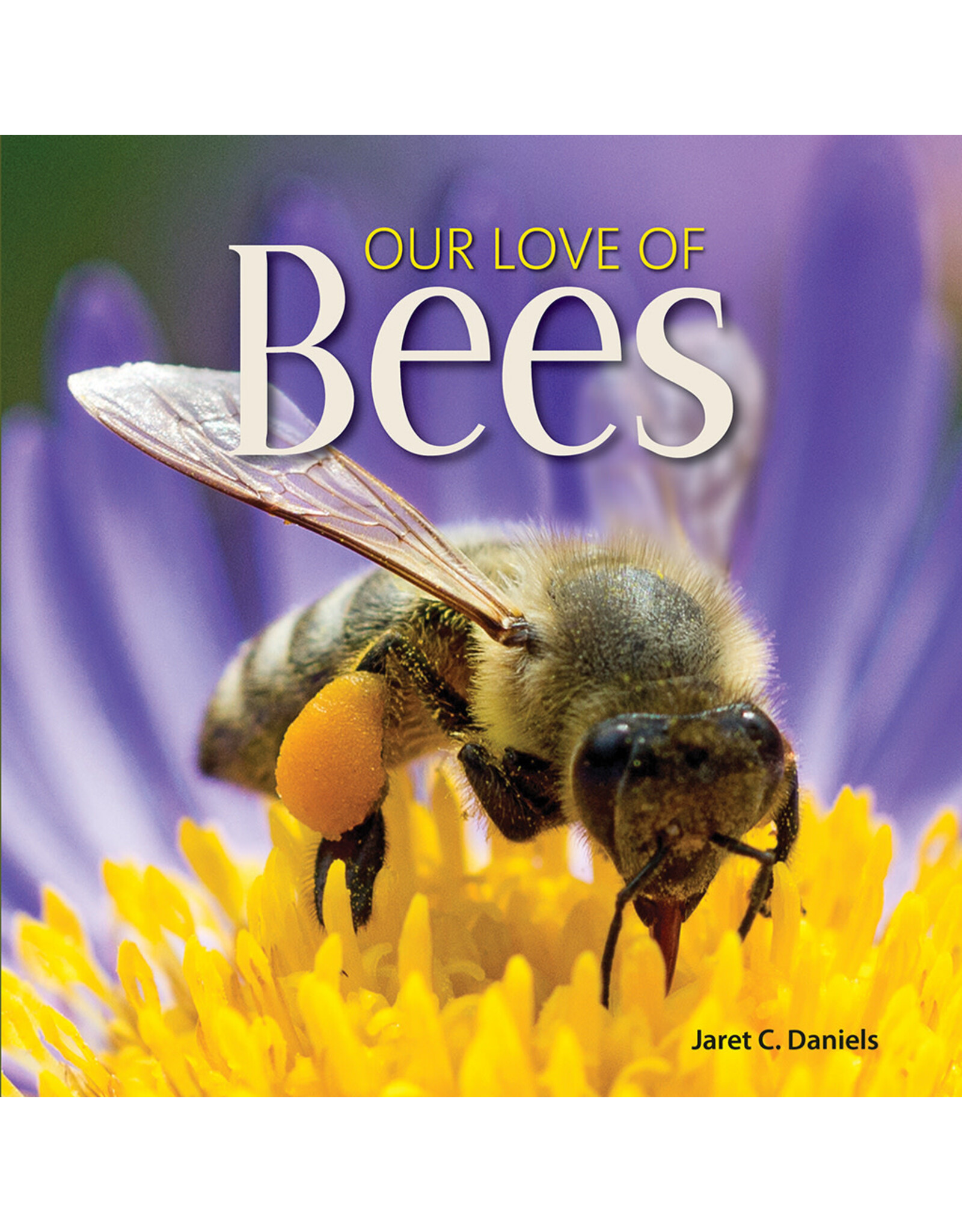 Our Love Of Bees