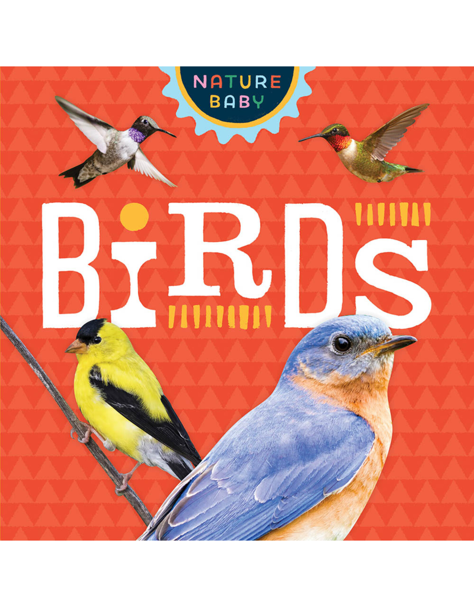 Nature Baby Birds