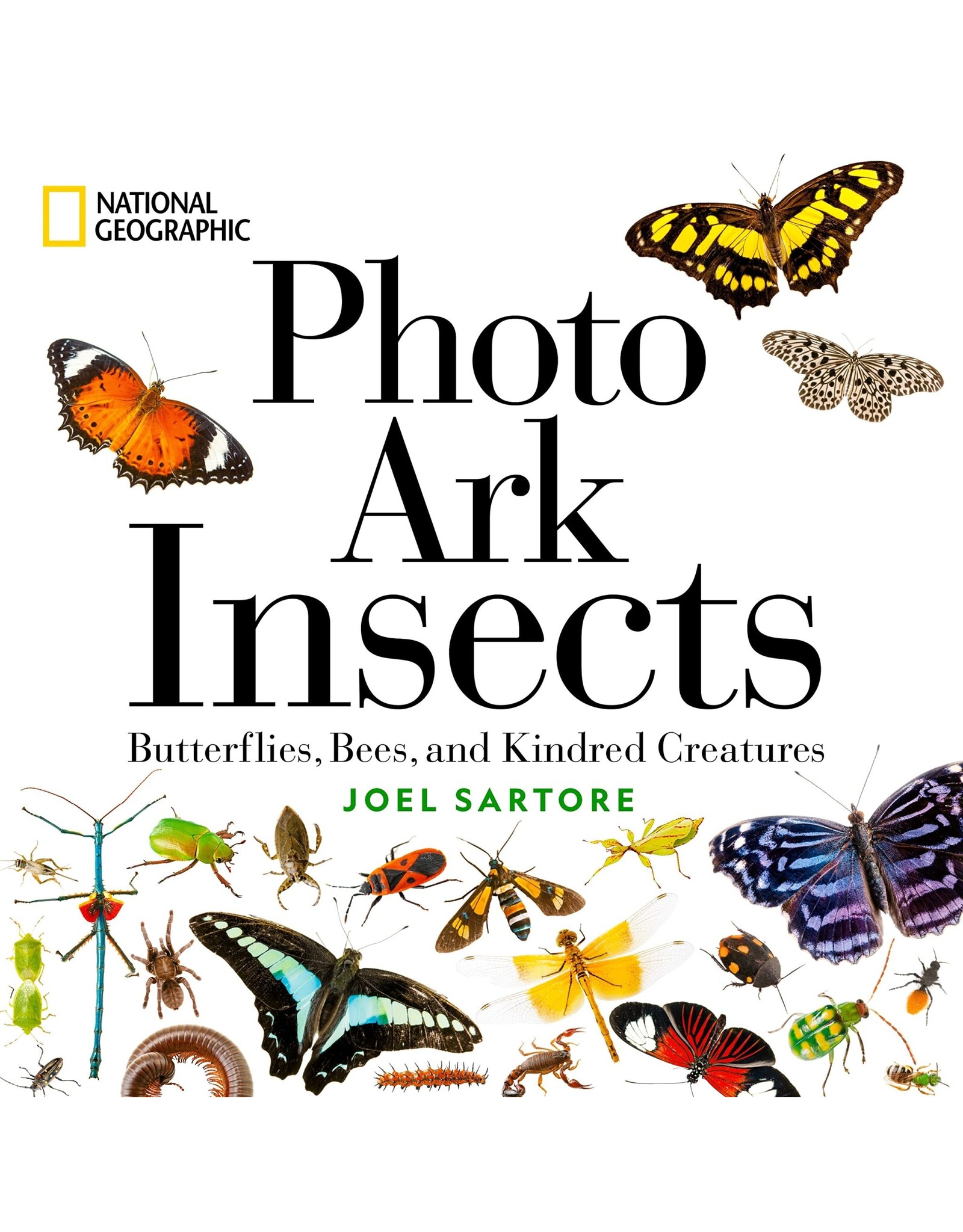 NG Photo Ark Insects