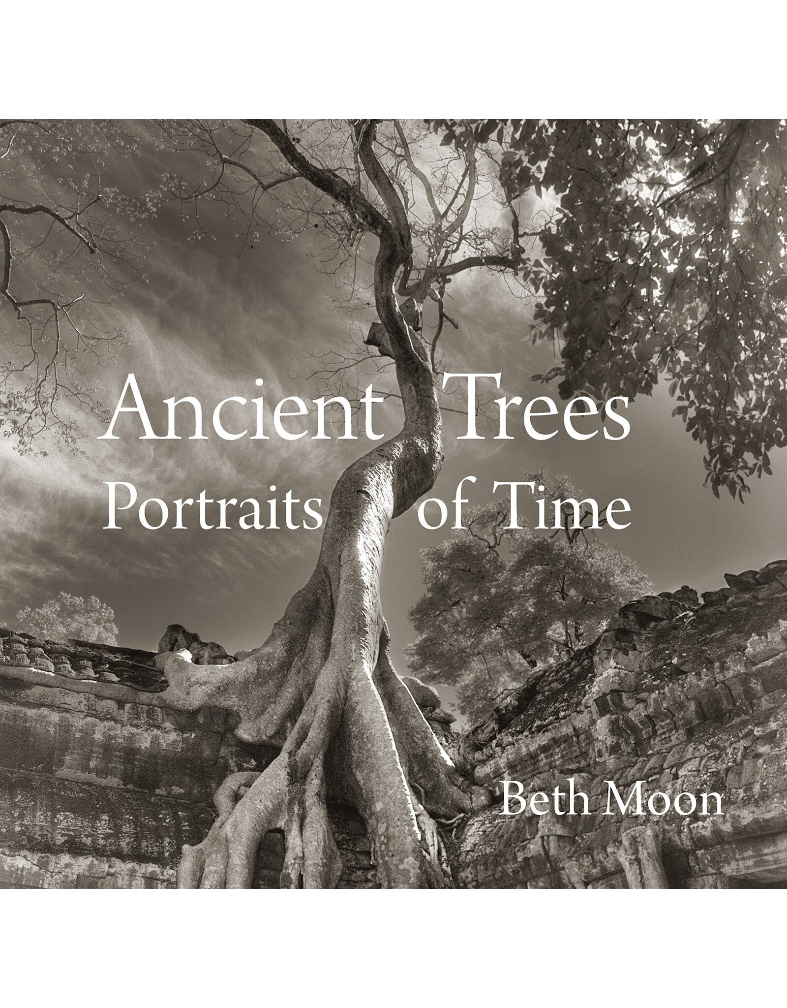 Ancient Trees Portrait of Time