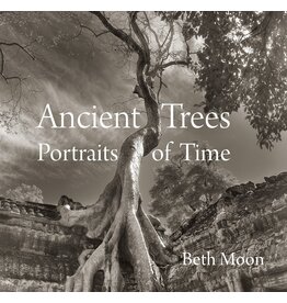 Ancient Trees Portrait of Time