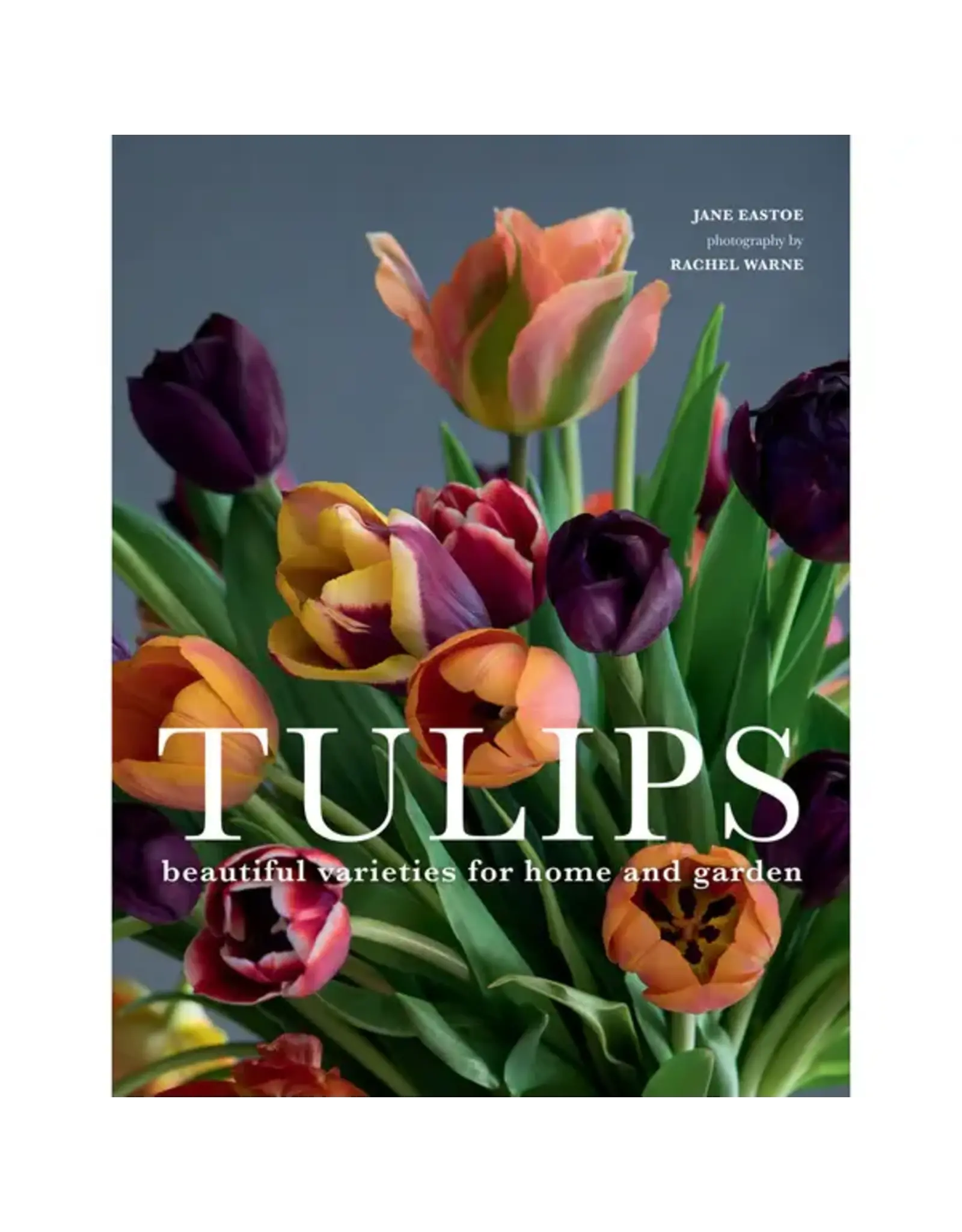 Tulips: Beautiful Varieties for Home and Garden
