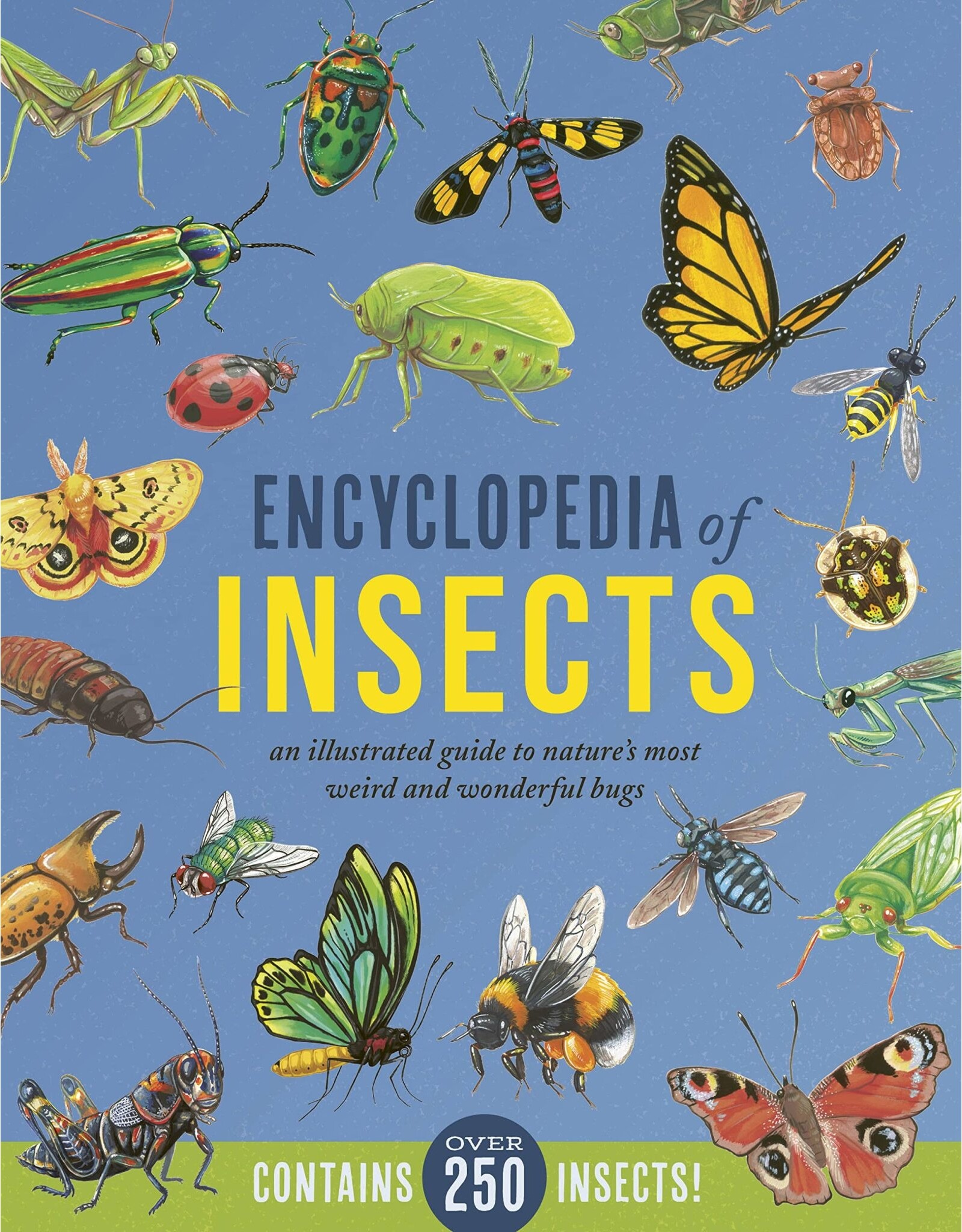 Hachette Book Group Encyclopedia of Insects