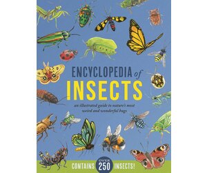 encyclopedia-of-insects.jpg