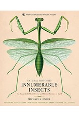 Innumerable Insects