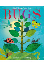 Bugs-A Peek Through Picture Book