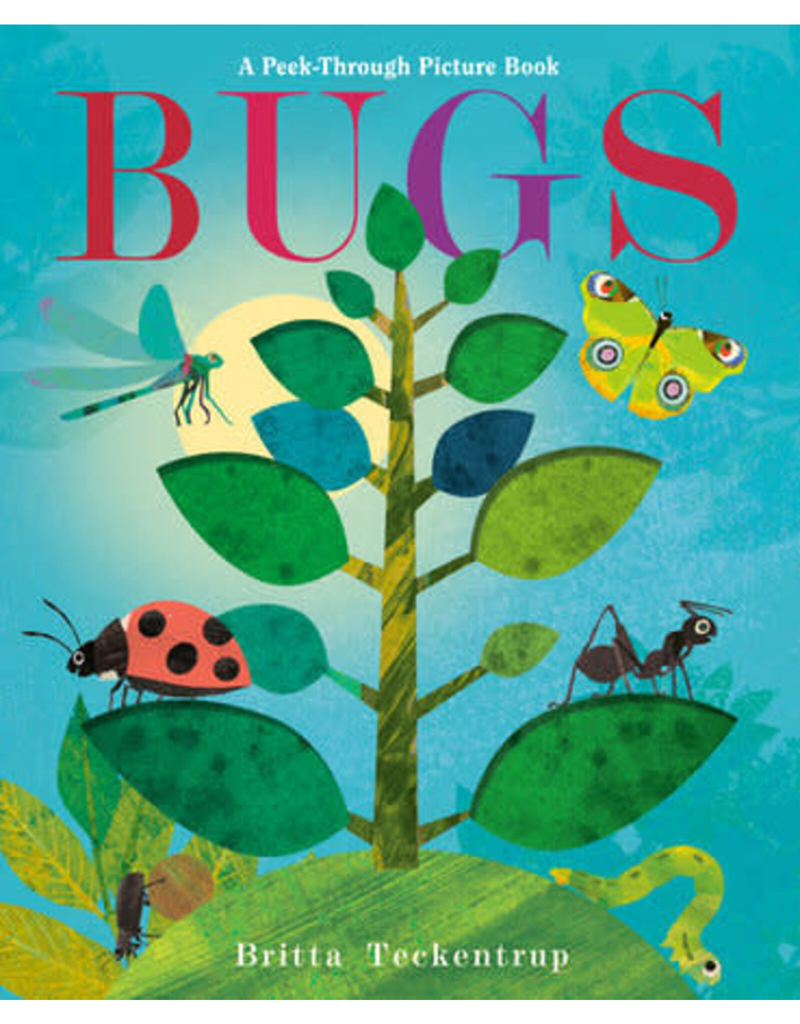 Bugs-A Peek Through Picture Book
