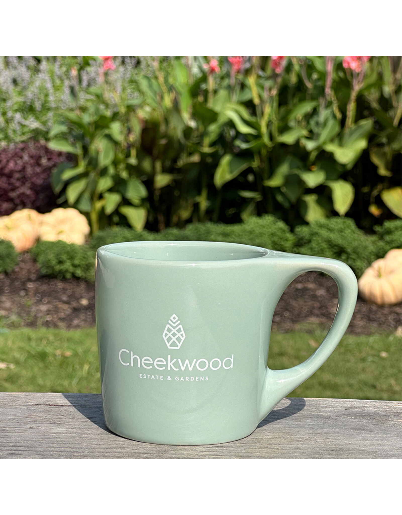 Cheekwood Mint Mug