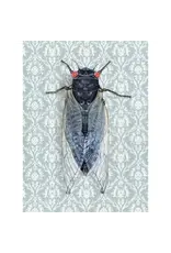 Cicada 5x7 Art Print
