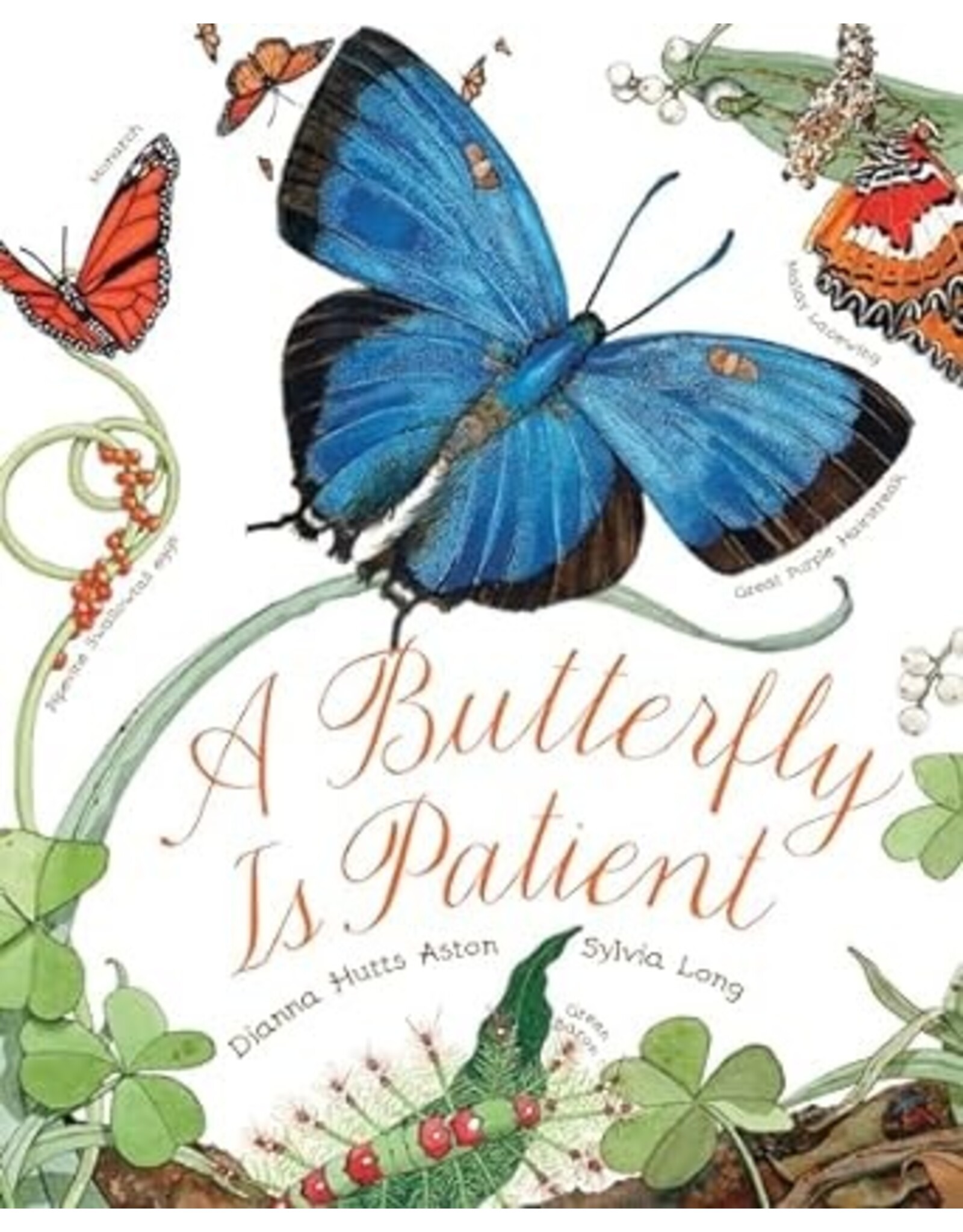 A Butterfly is Patient