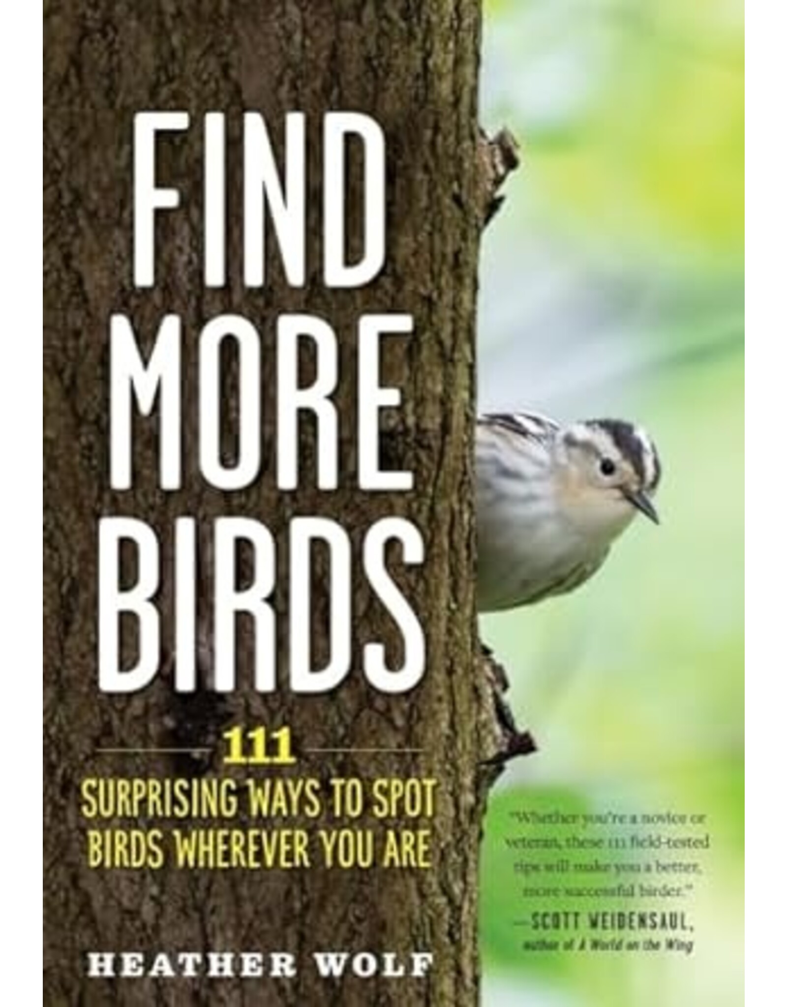 Find More Birds