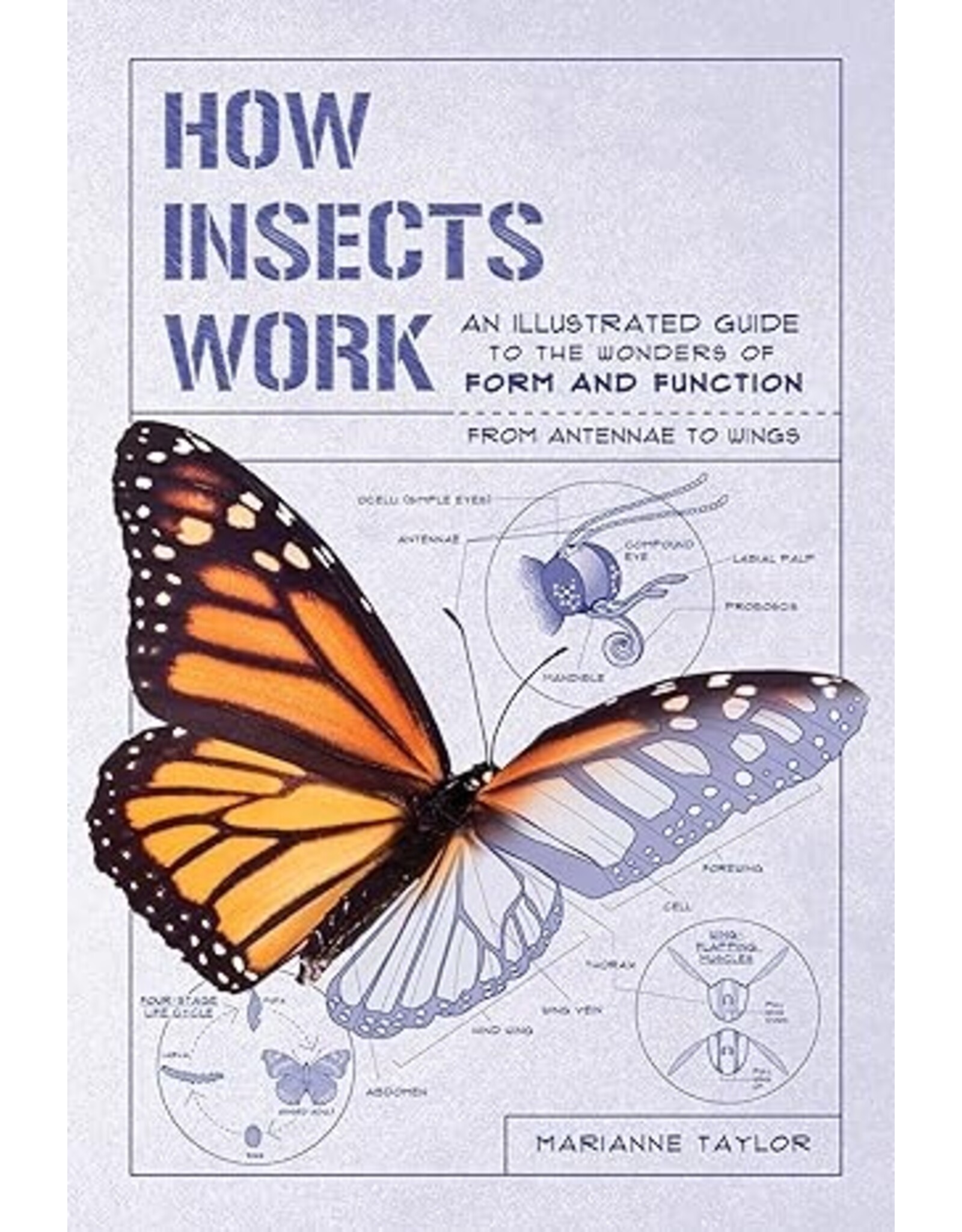 How Insects Work