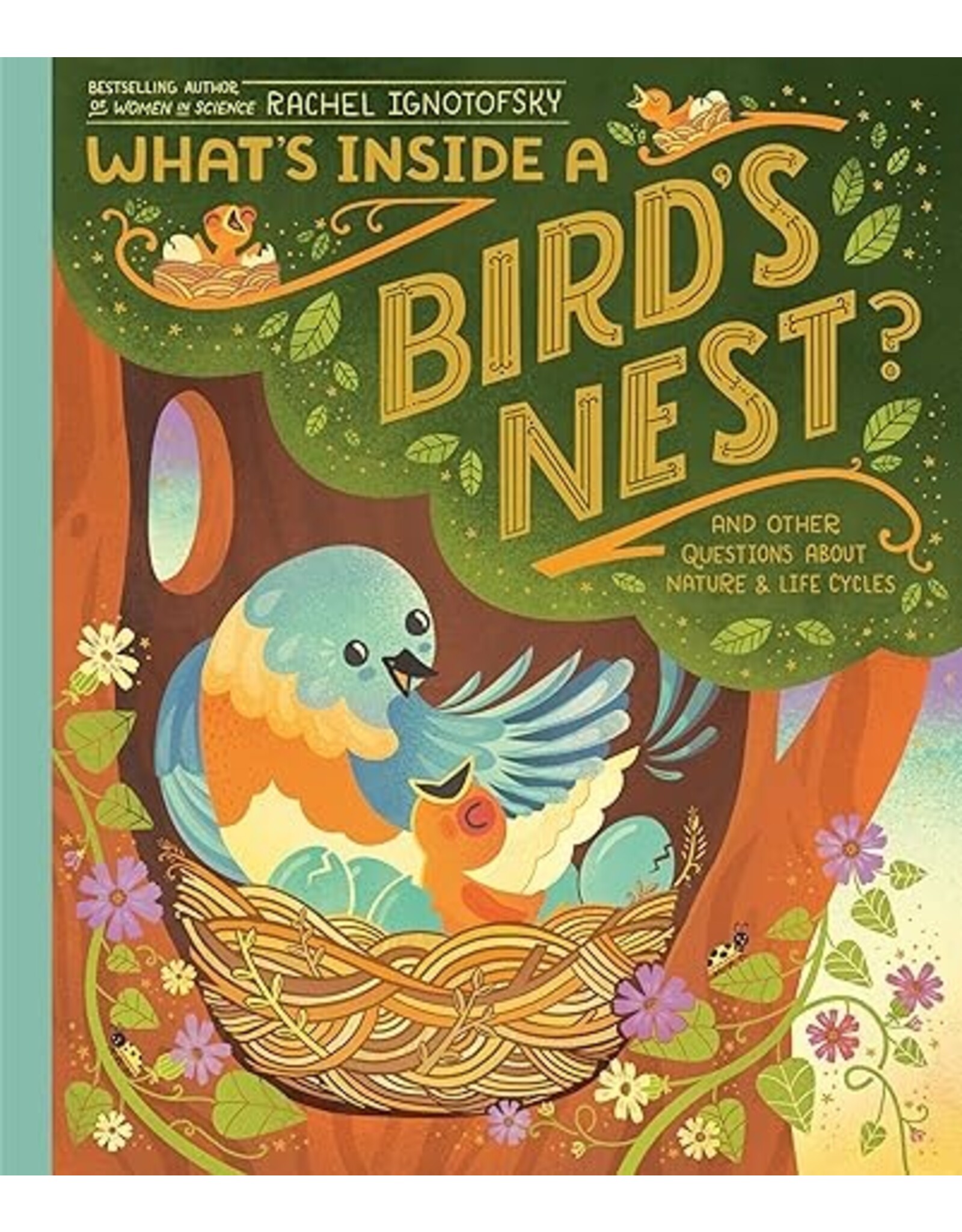 What's Inside a Bird's Nest?