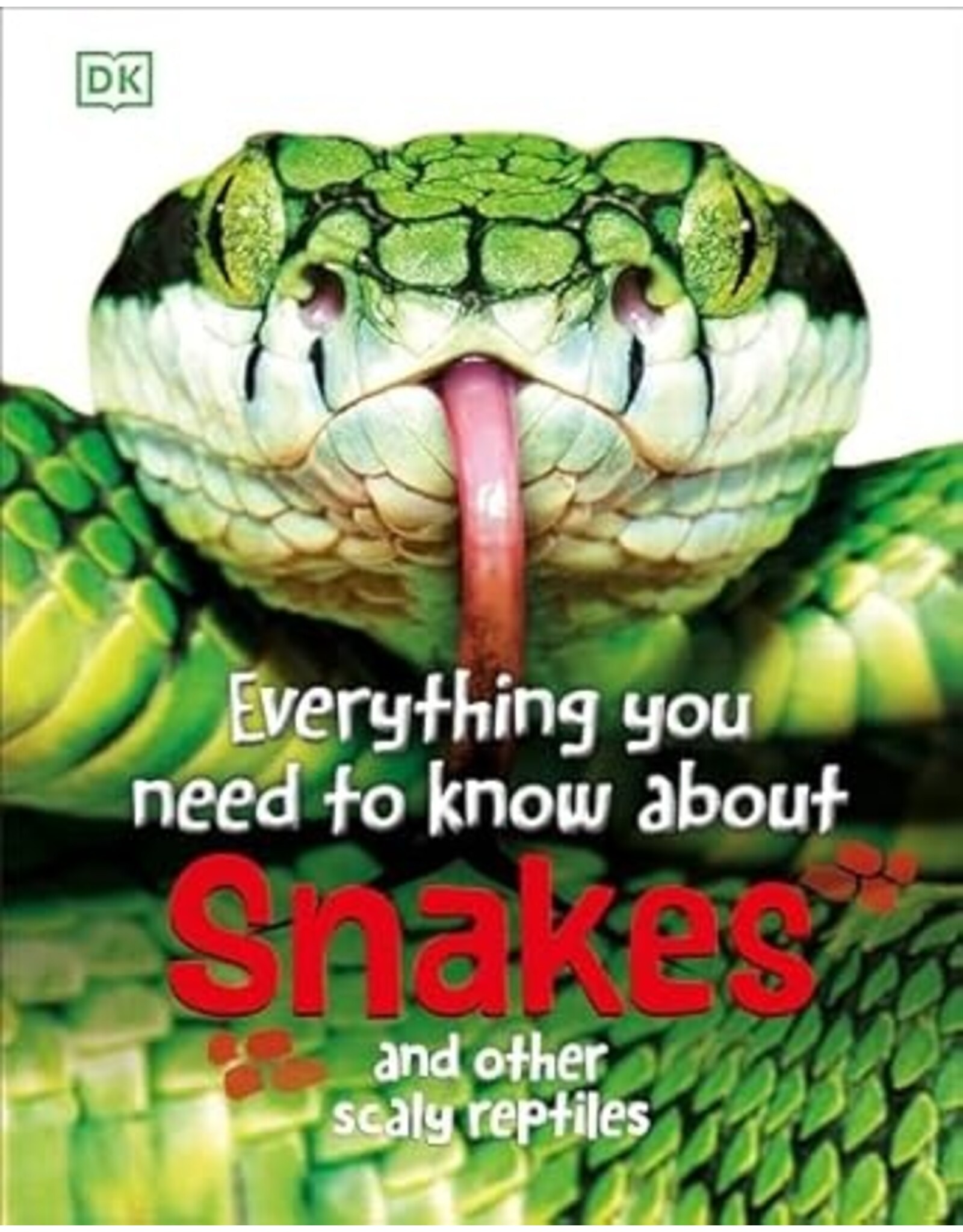 Everything You Need to Know About Snakes