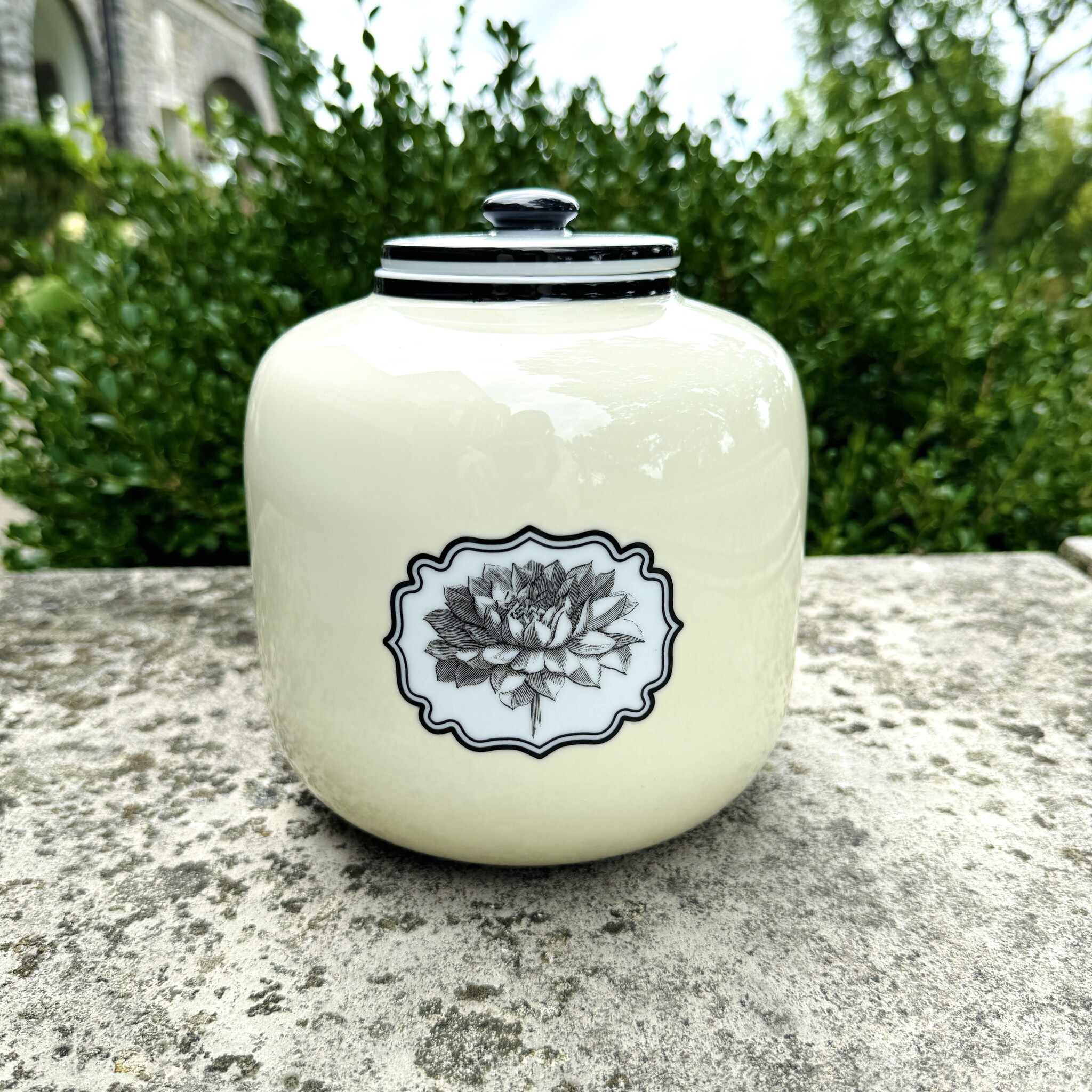 Timor Box - Cheekwood