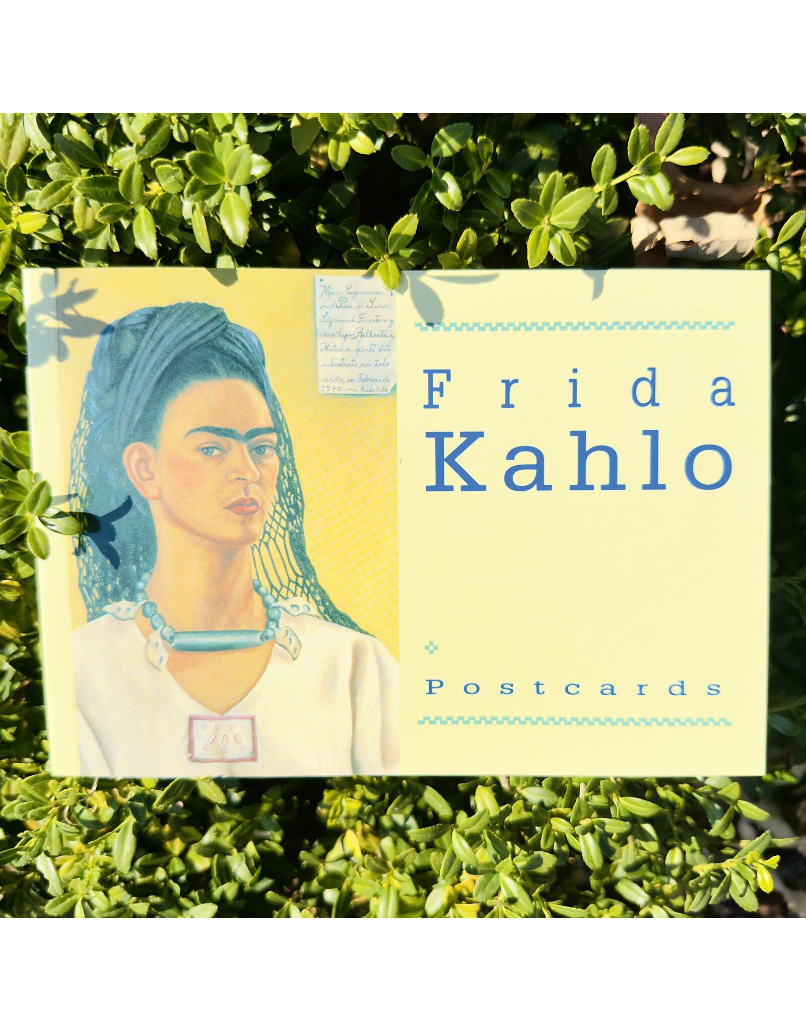 Frida Kahlo Postcards