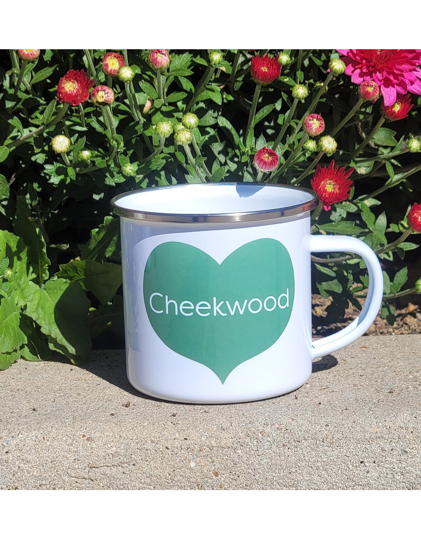 RSP Cheekwood Camp Mug