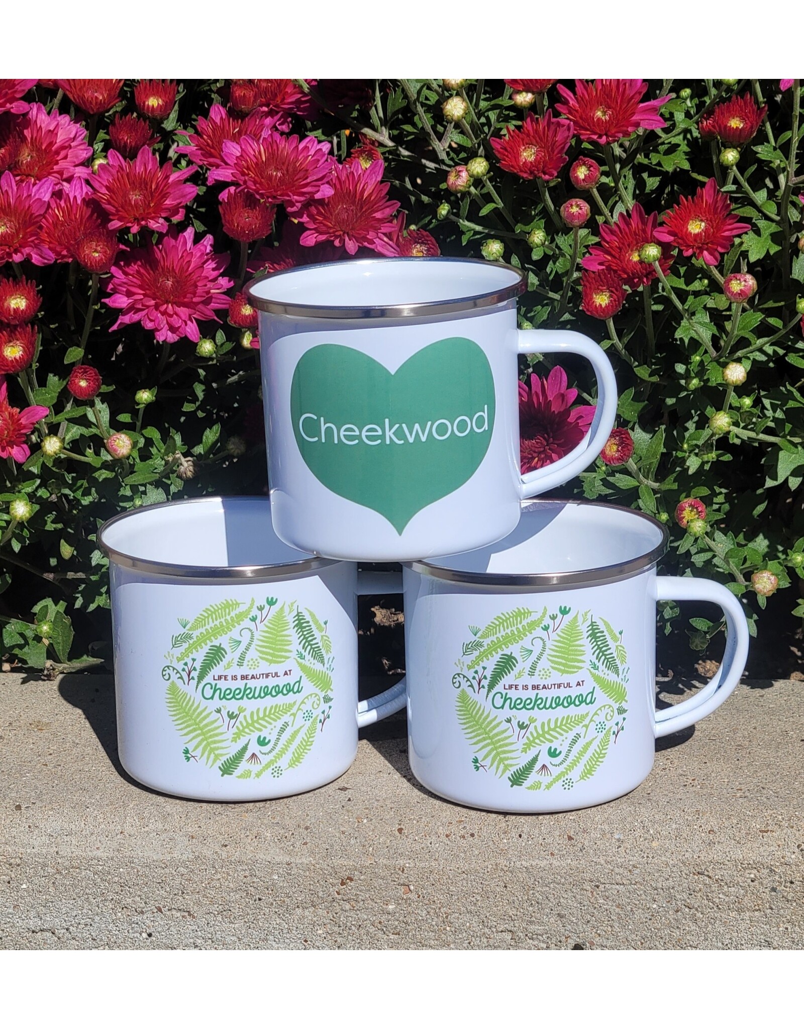RSP Cheekwood Camp Mug