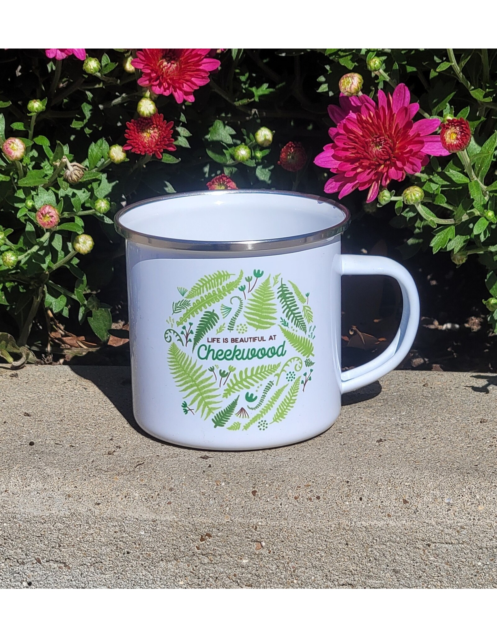 RSP Cheekwood Camp Mug