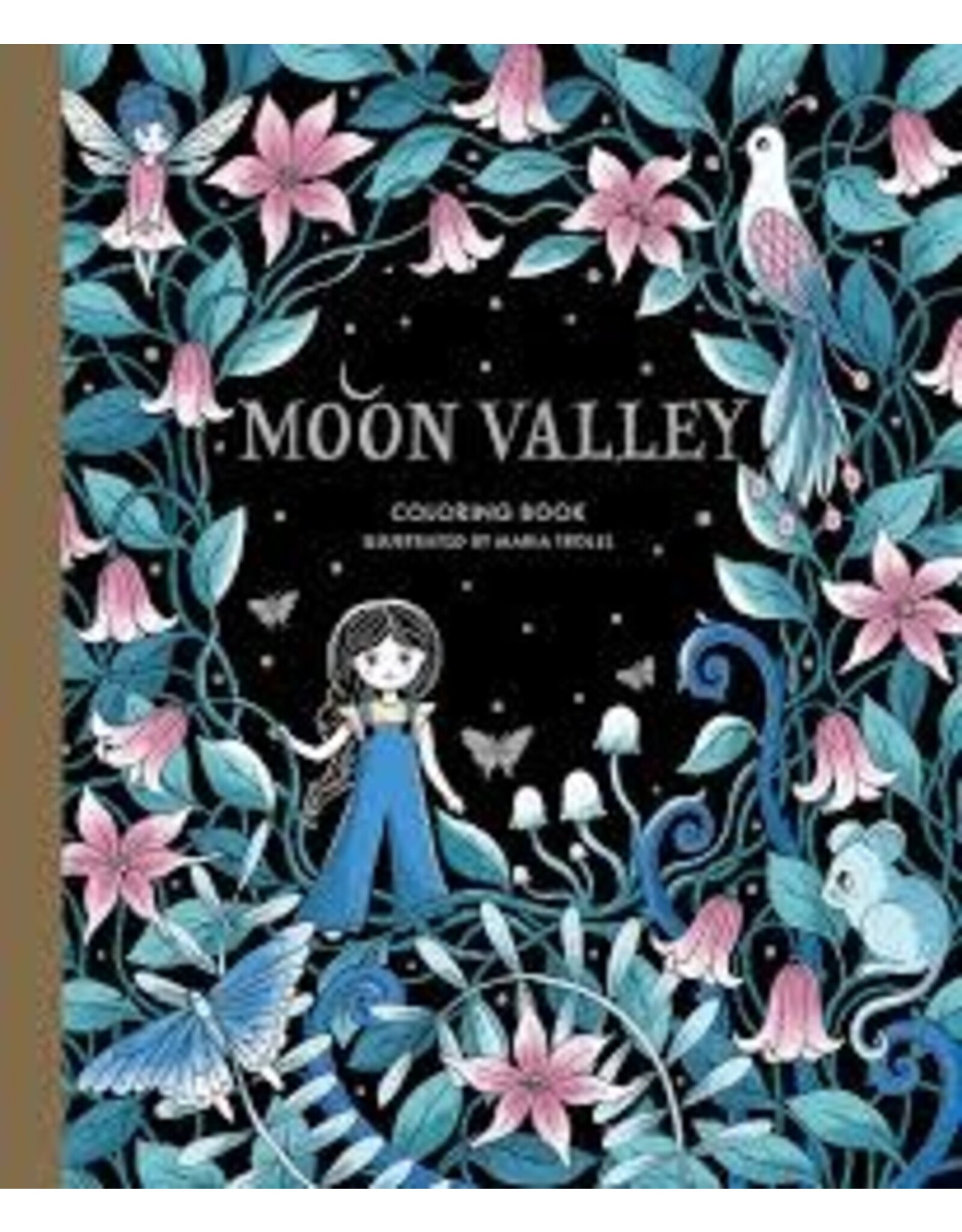 Moon Valley Coloring Book