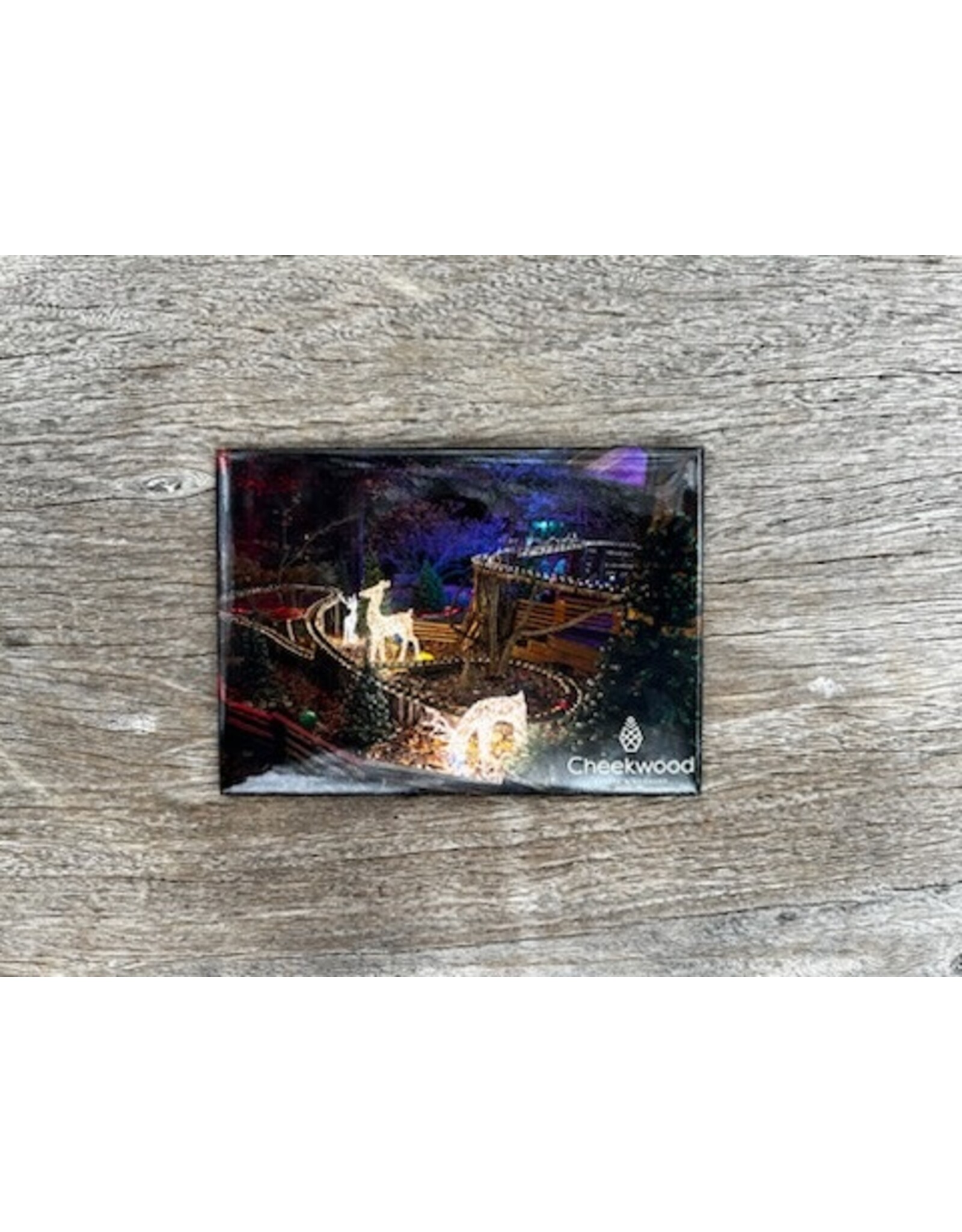 Holiday LIGHTS Magnet