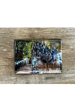 Holiday LIGHTS Magnet