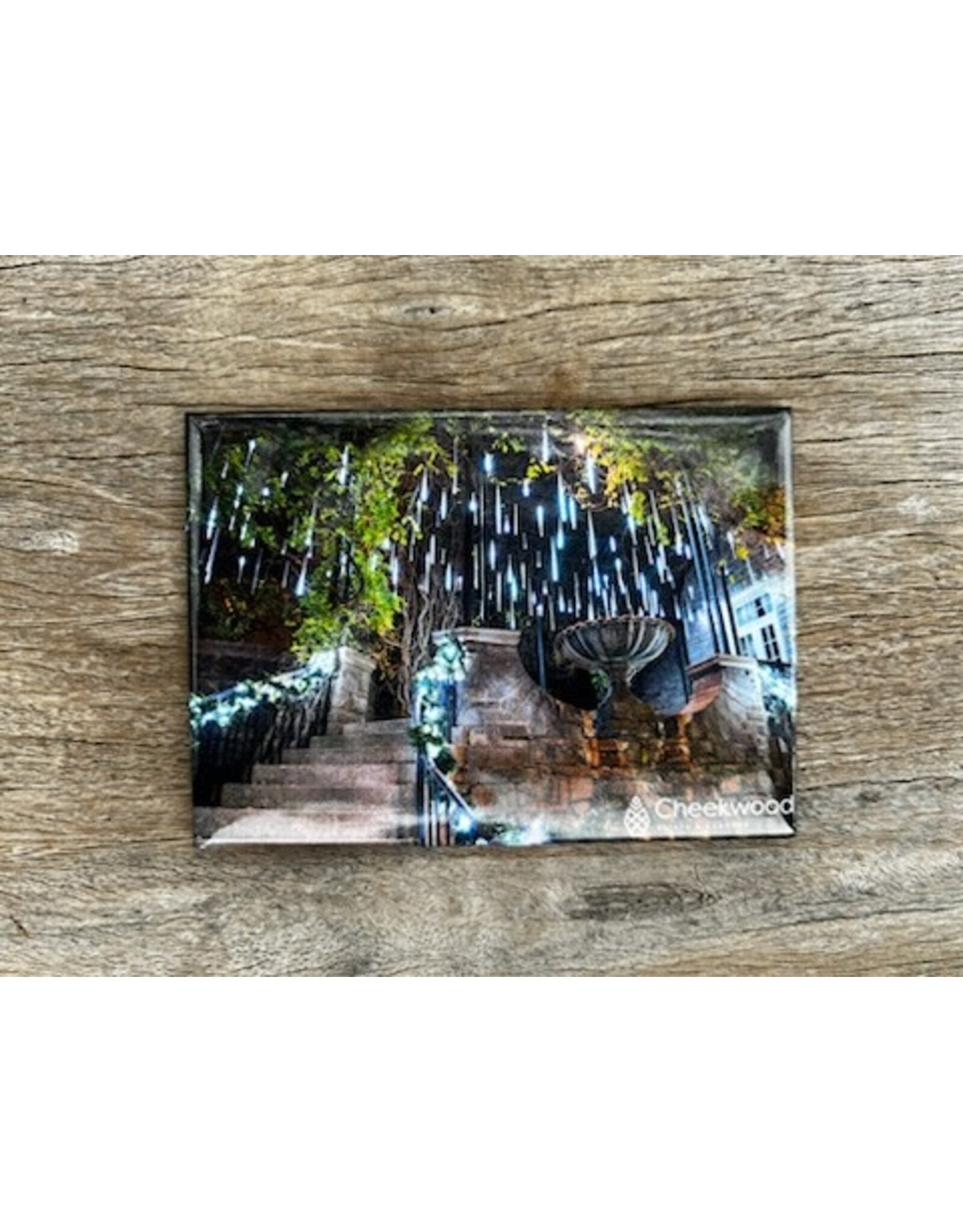 Holiday LIGHTS Magnet