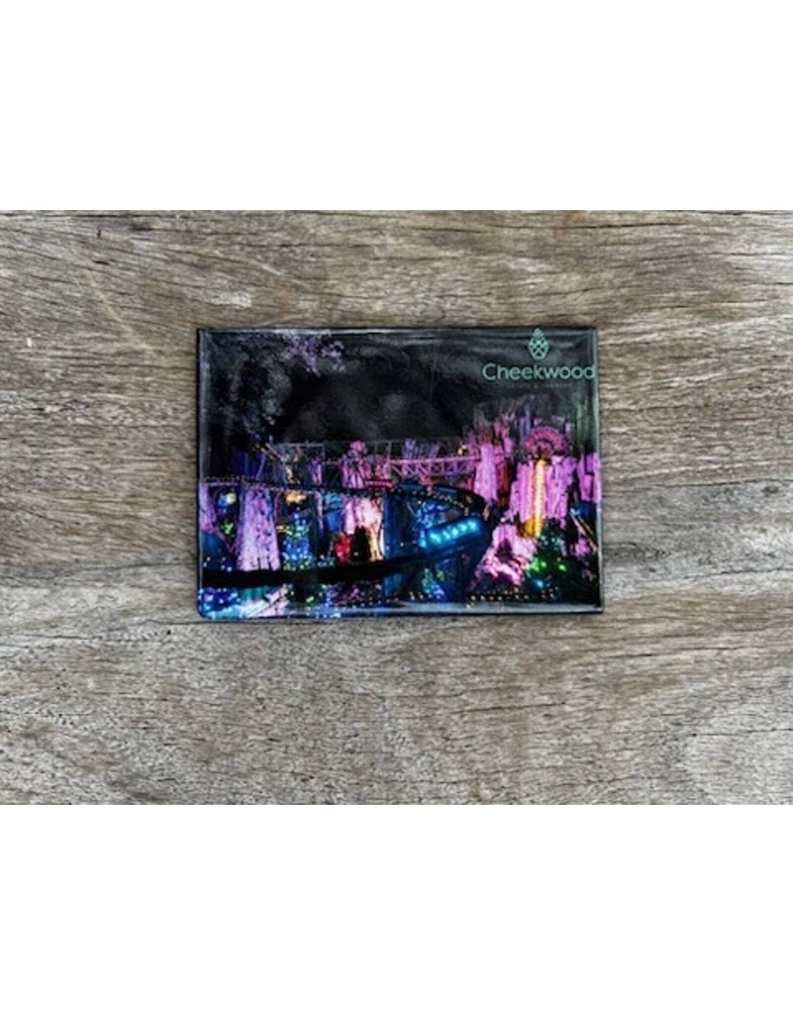 Holiday LIGHTS Magnet