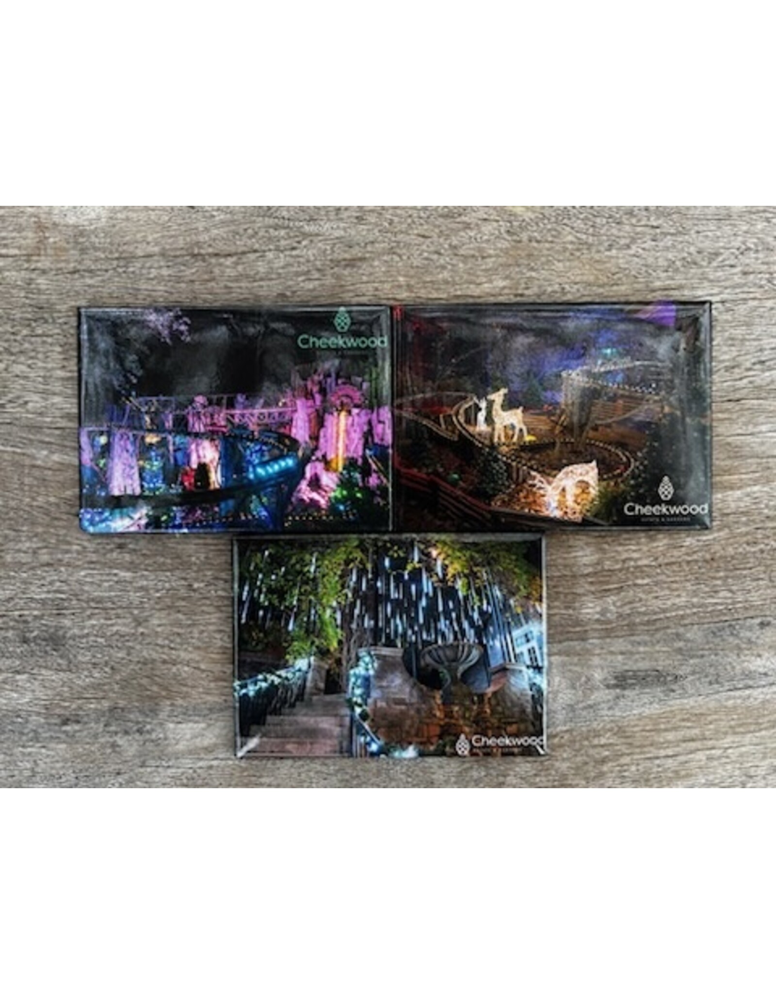 Holiday LIGHTS Magnet