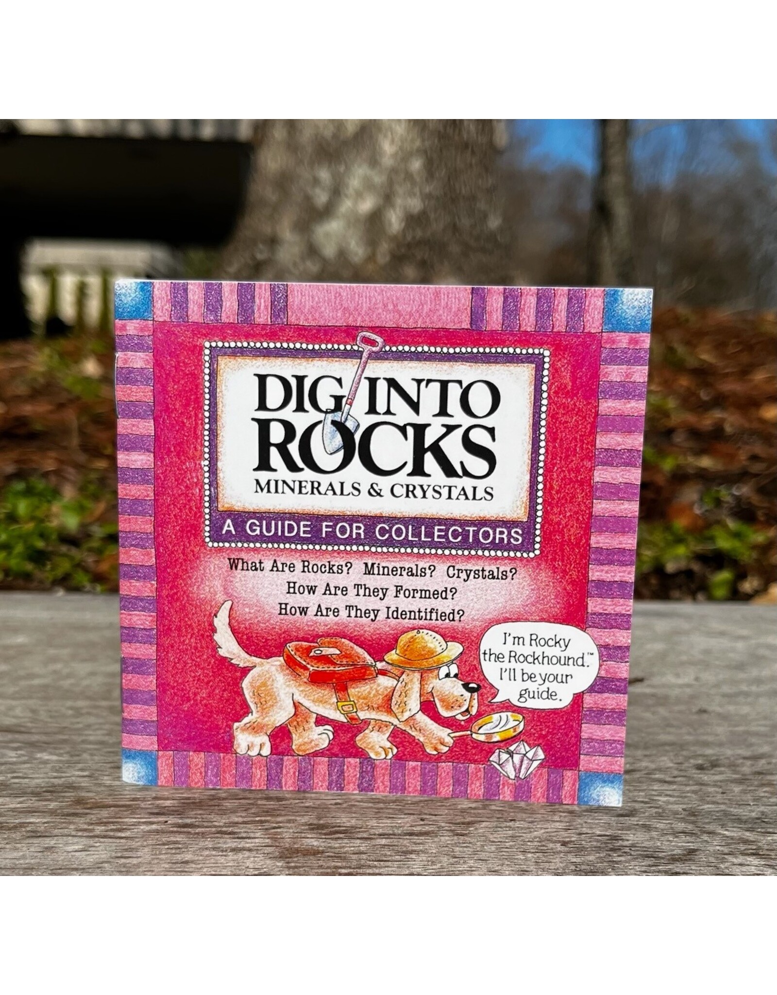 Dig Into Rocks Mini Book