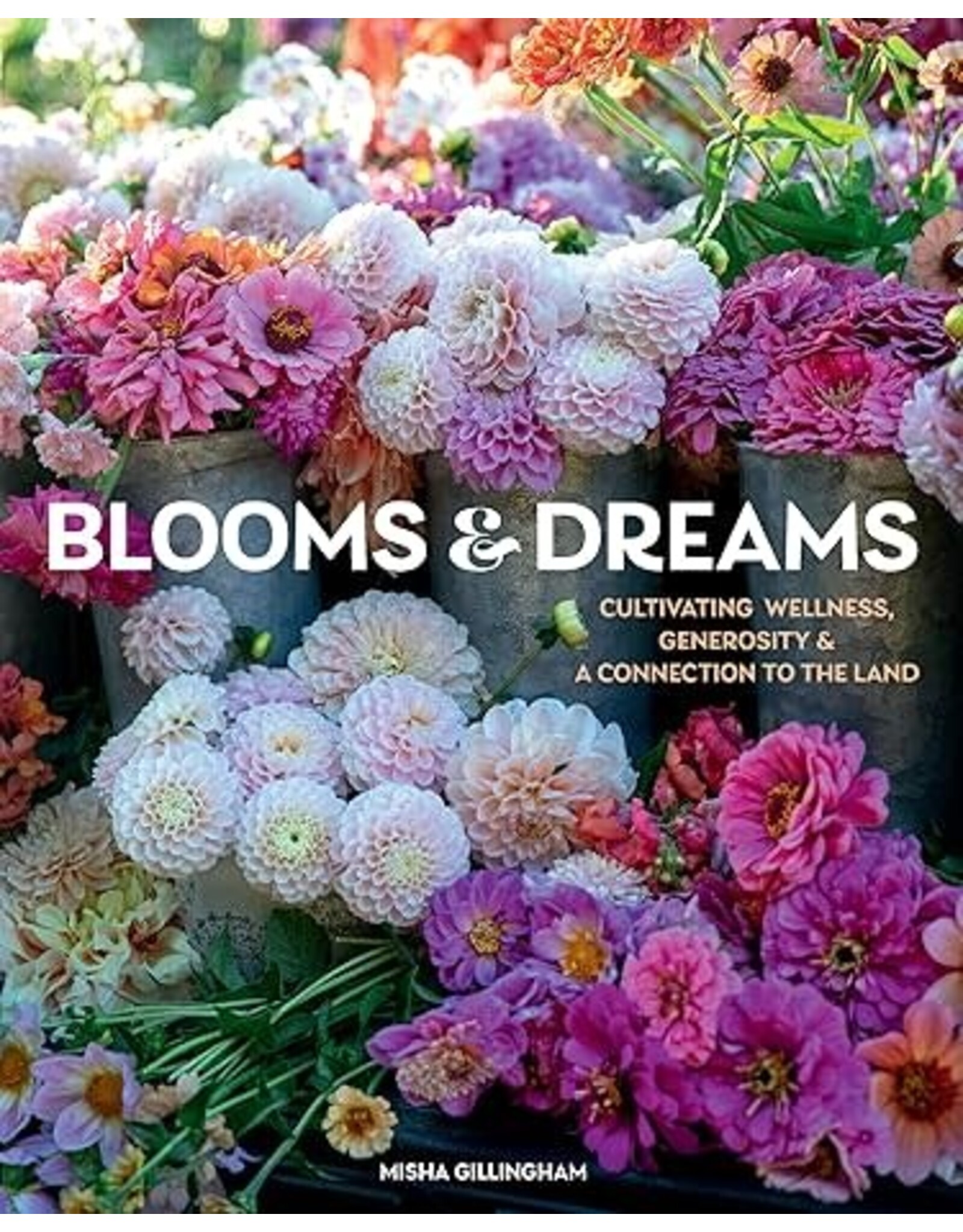Blooms & Dreams