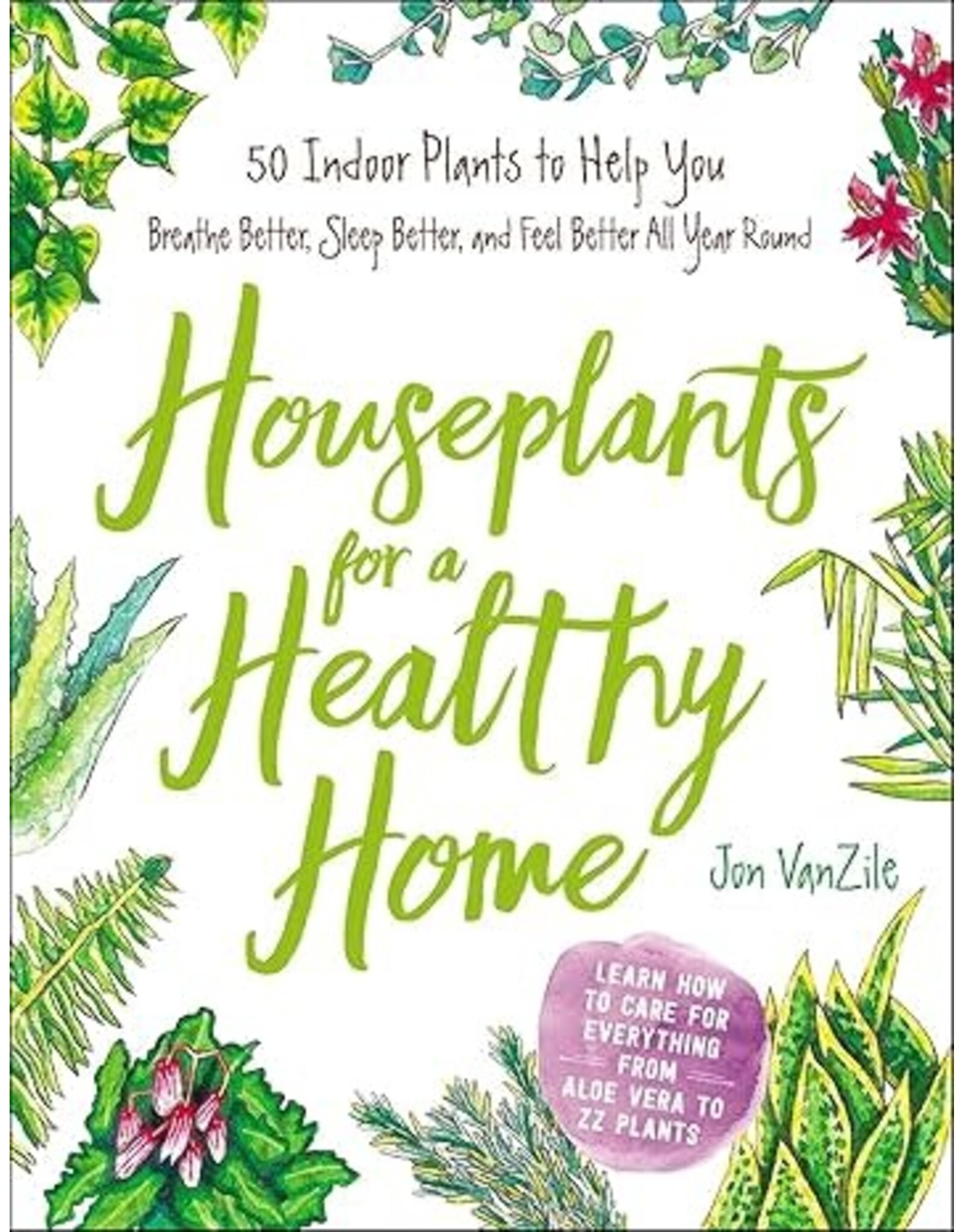 Houseplants for a Healthy Home