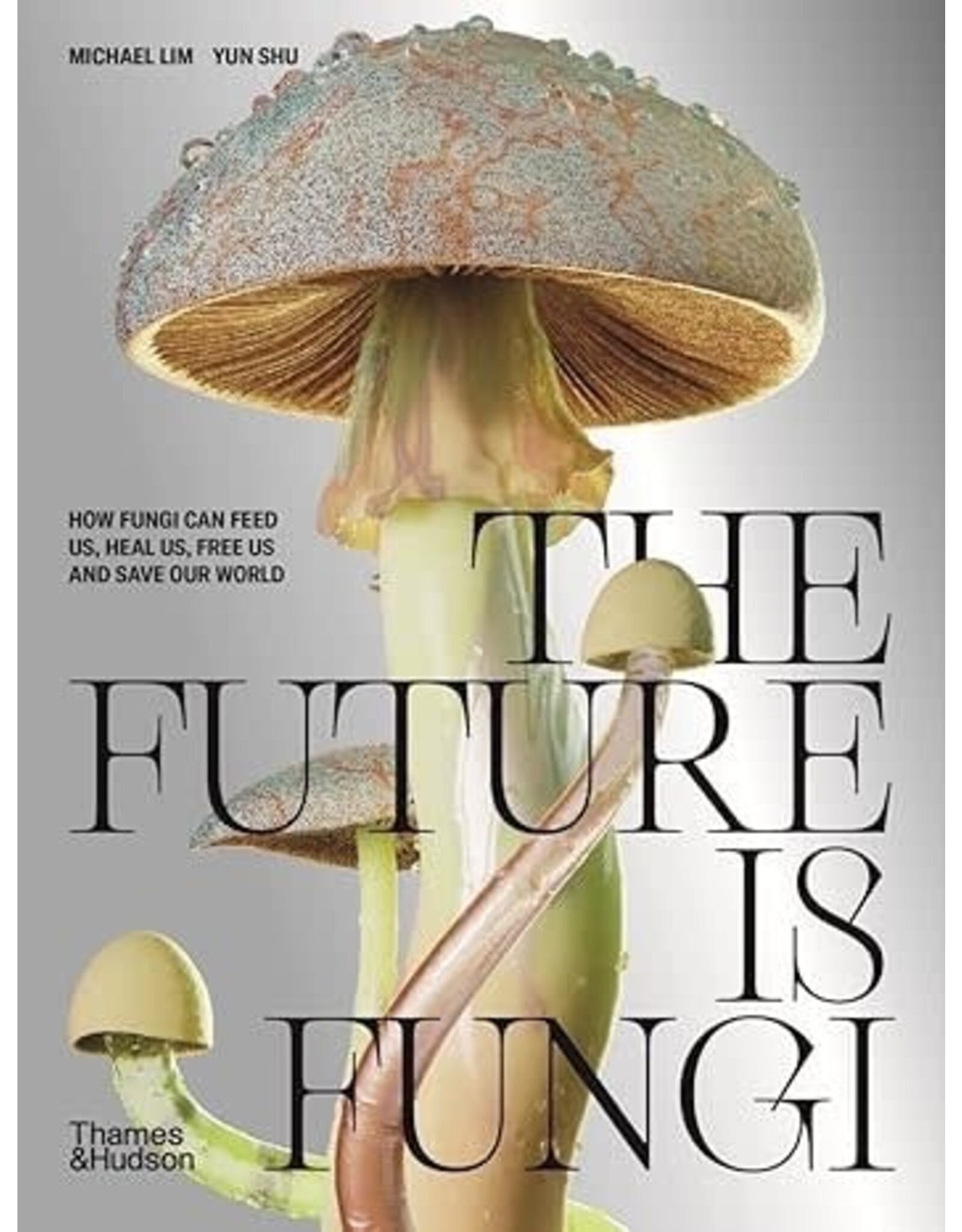 Future is Fungi