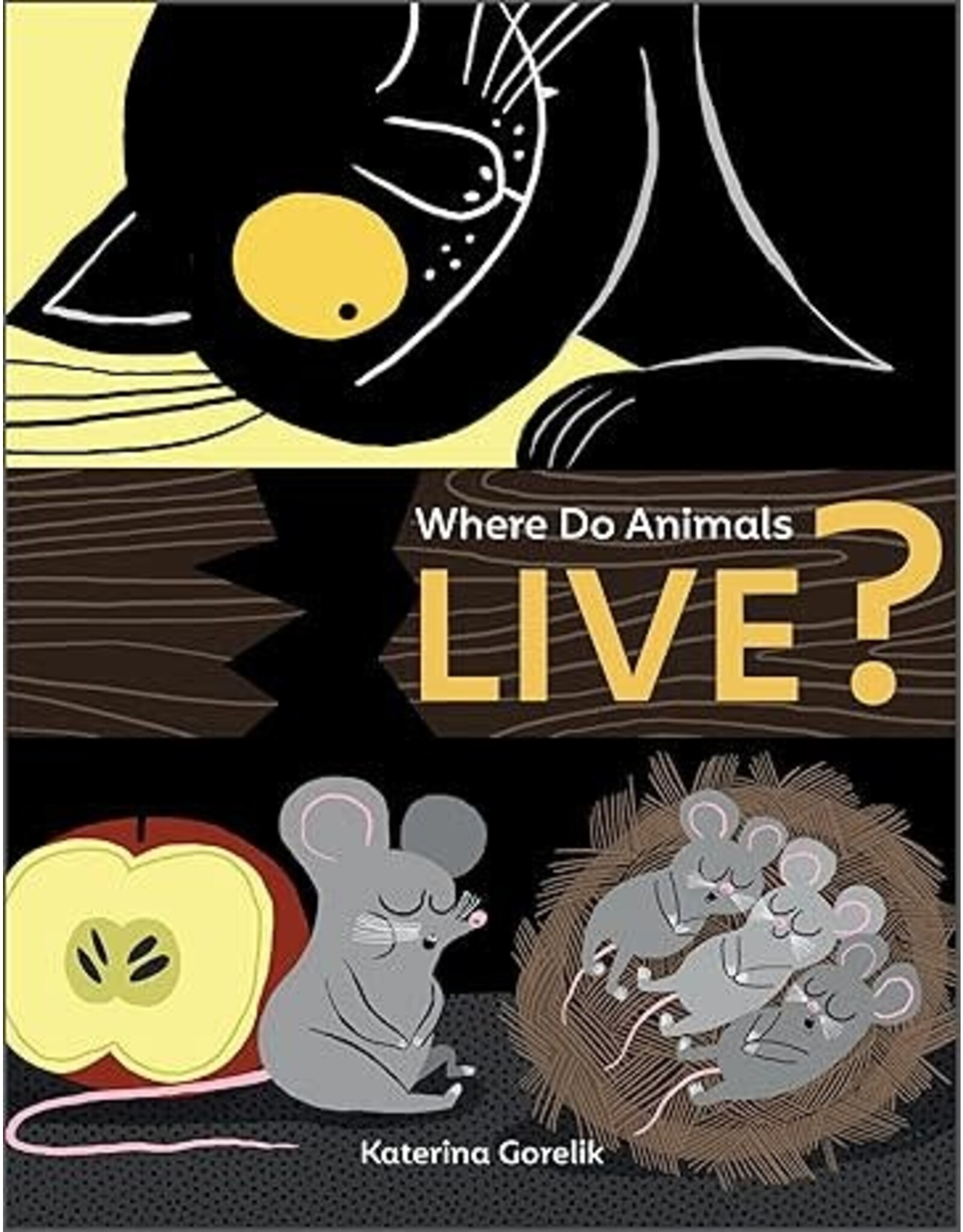 Where Do Animals Live