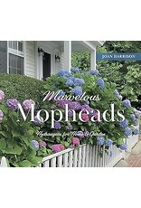 Marvelous Mopheads