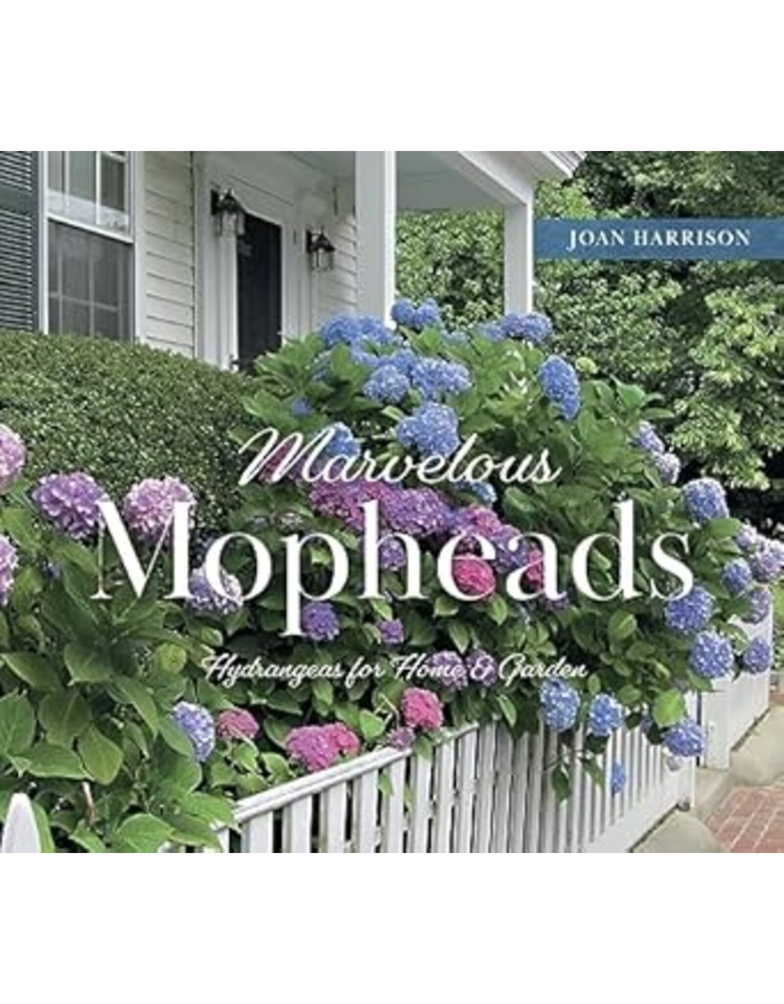 Marvelous Mopheads
