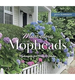 Marvelous Mopheads