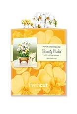 Orchids Mini Pop-Up Bouquet