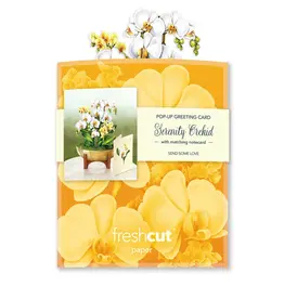 Orchids Mini Pop-Up Bouquet
