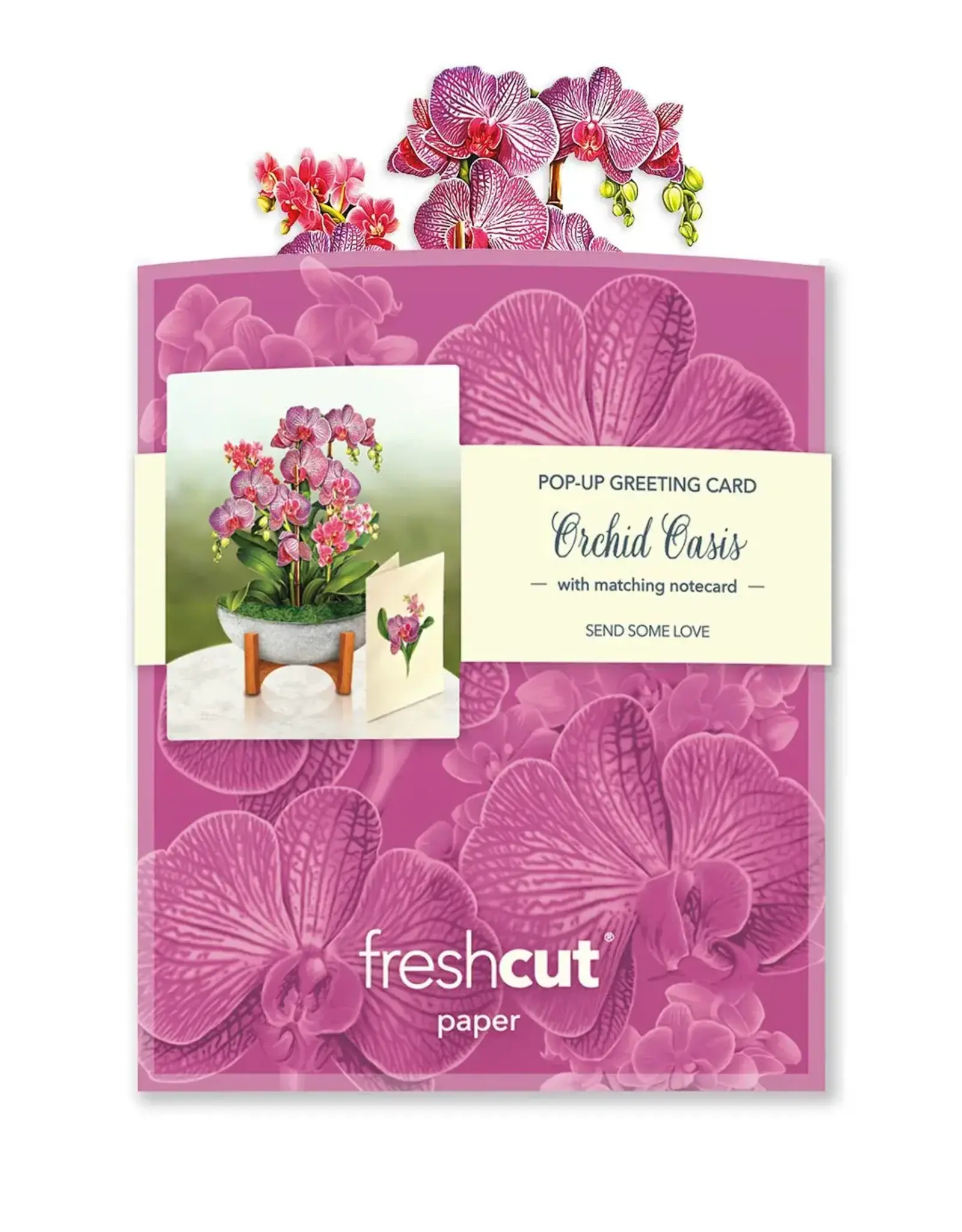 Orchids Mini Pop-Up Bouquet