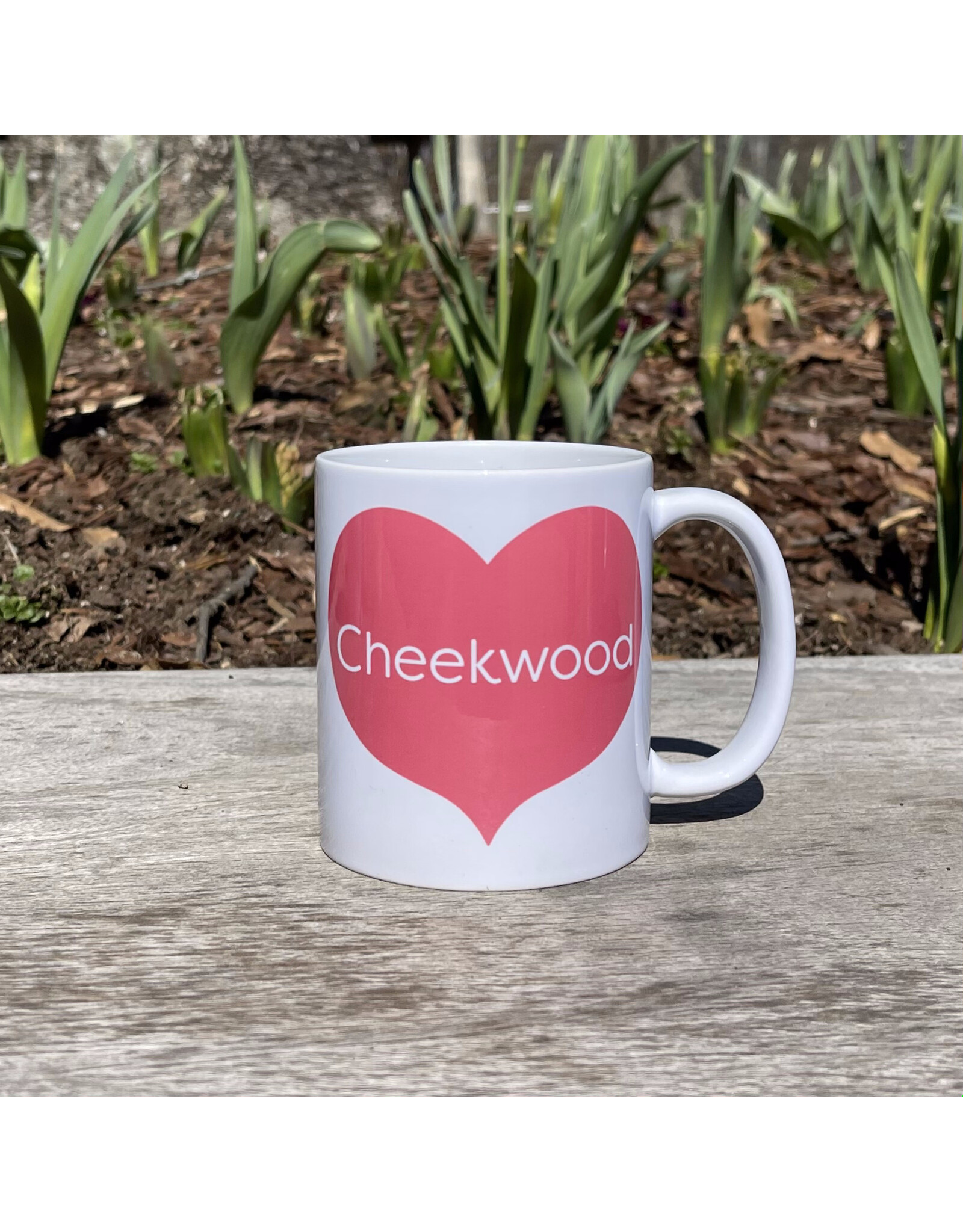 RSP Cheekwood Heart Mug